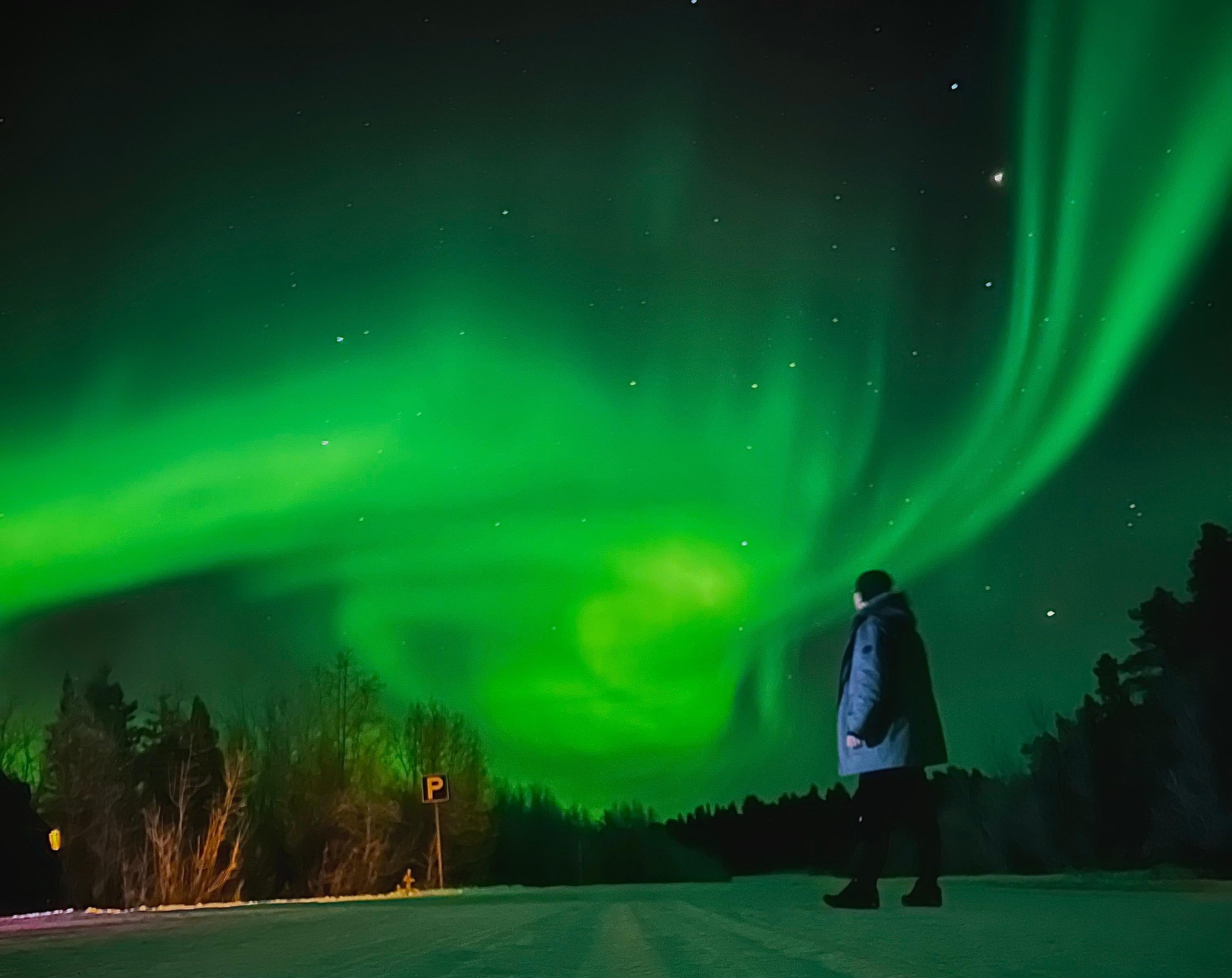 From Rovaniemi: Lapland Aurora Hunt with Barbeque