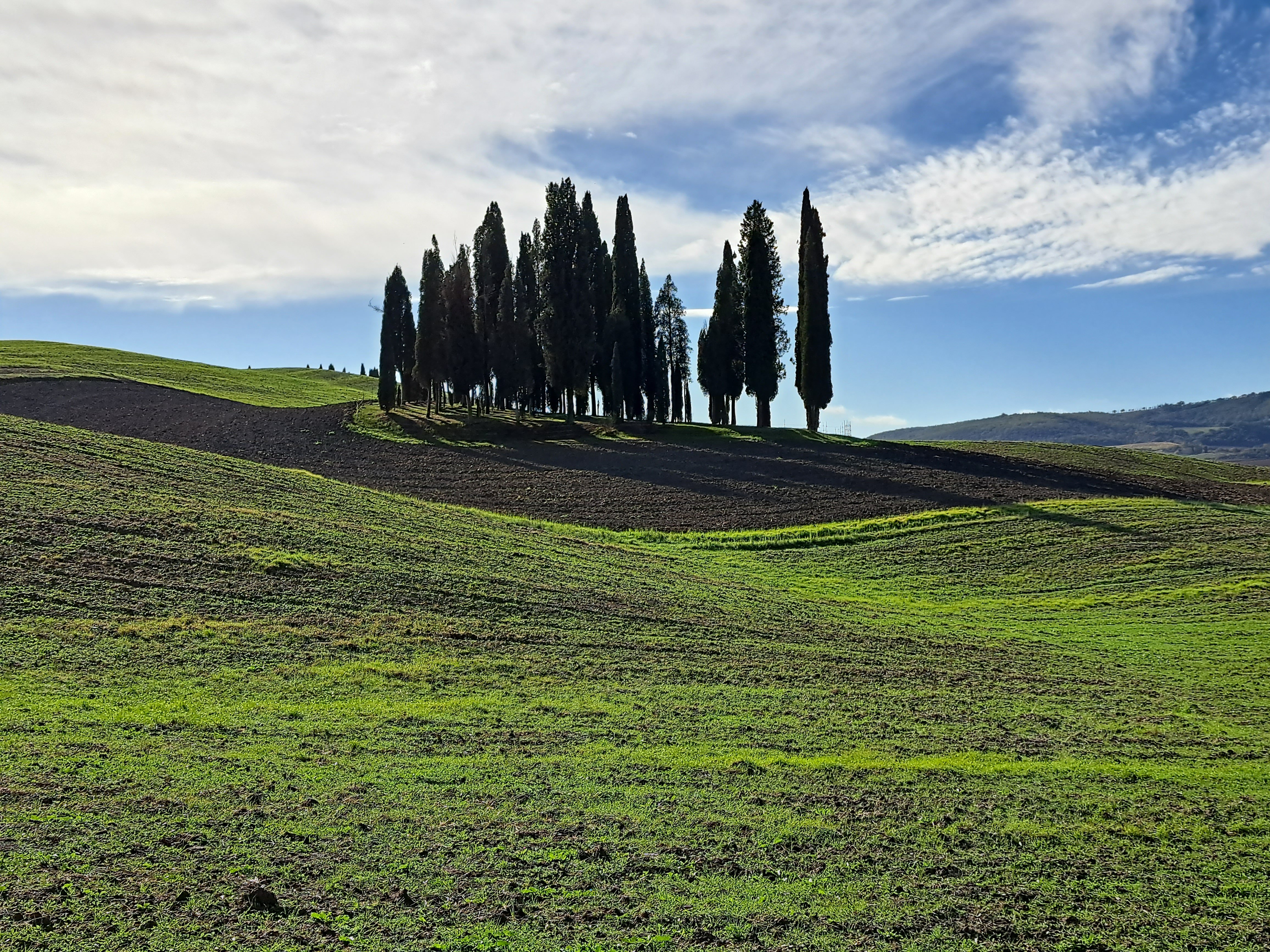 From Siena: Pienza and Montepulciano Small-Group Tour