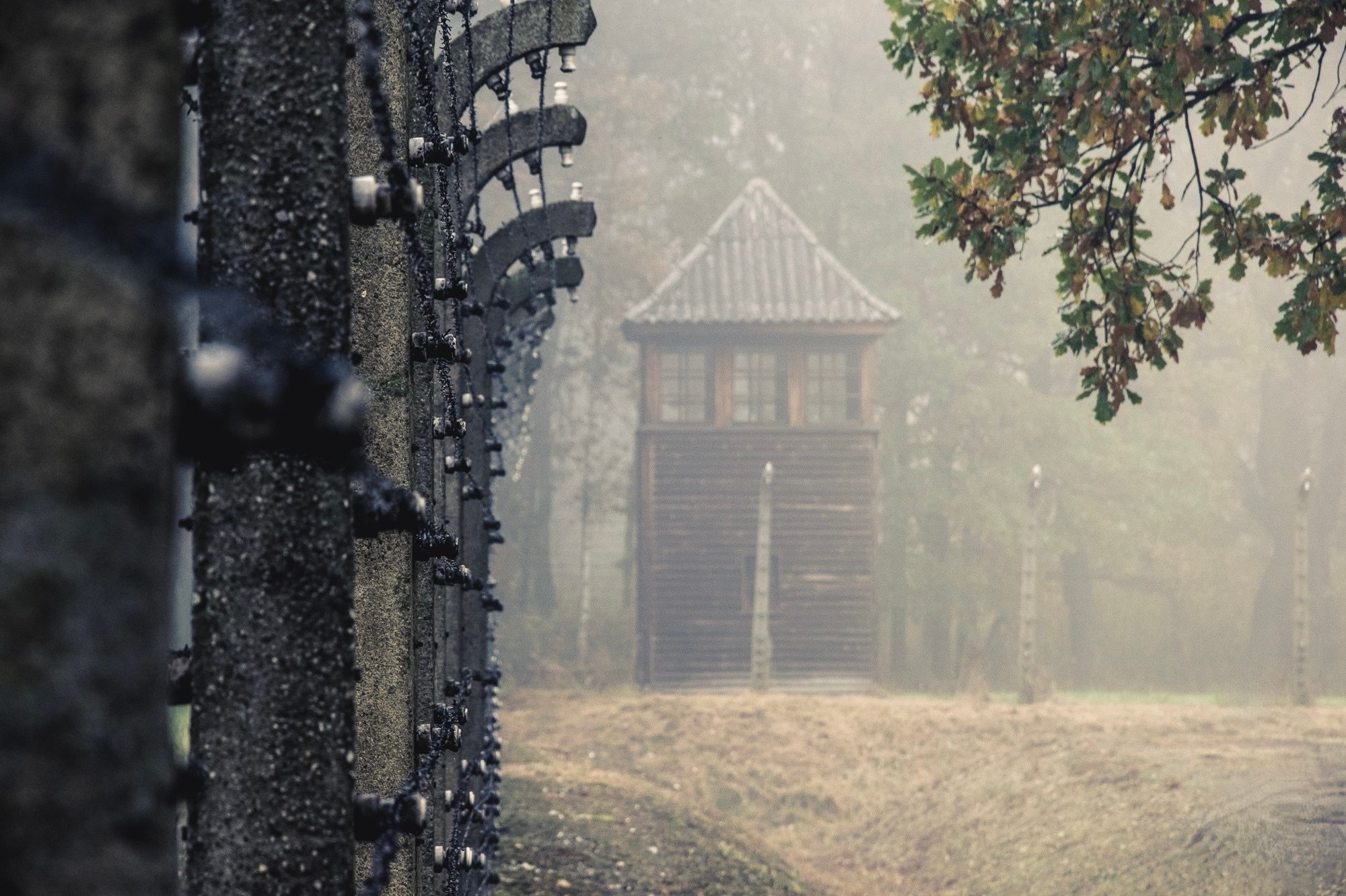 Wycieczka do Auschwitz-Birkenau z przewodnikiem i transportem z Krakowa