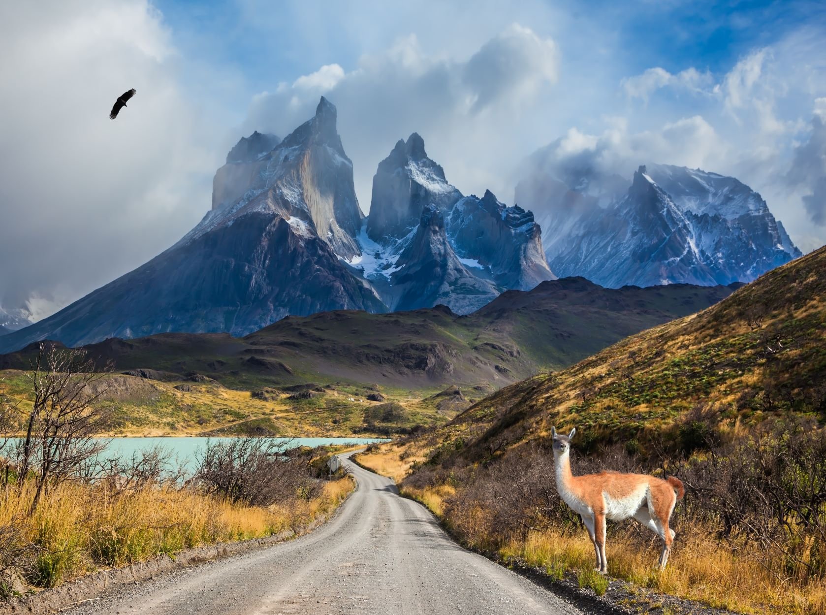 Torres del Paine: 5-Day W Trek Express