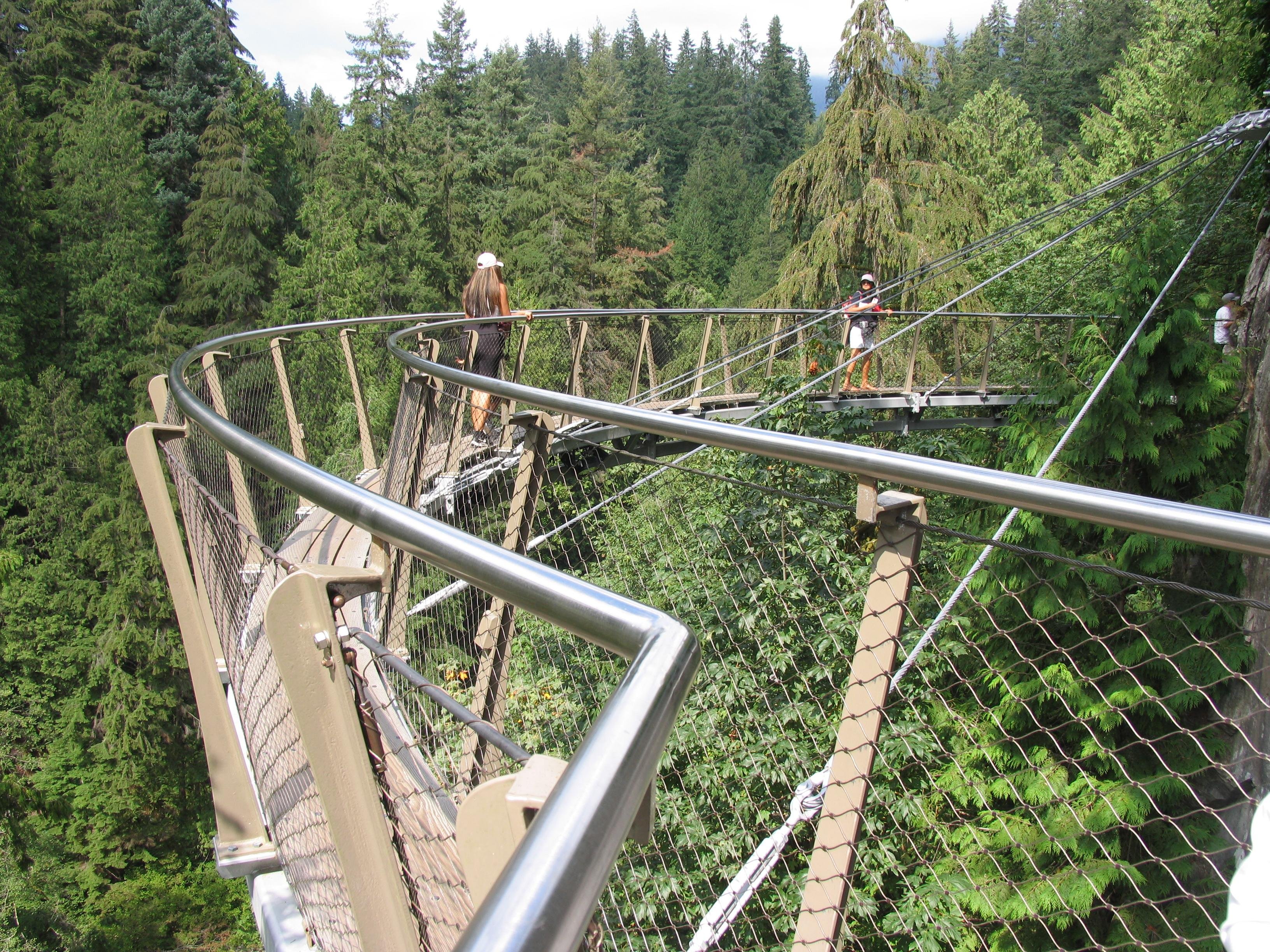 Capilano Suspension Bridge & Stanley Park Small Group Tour