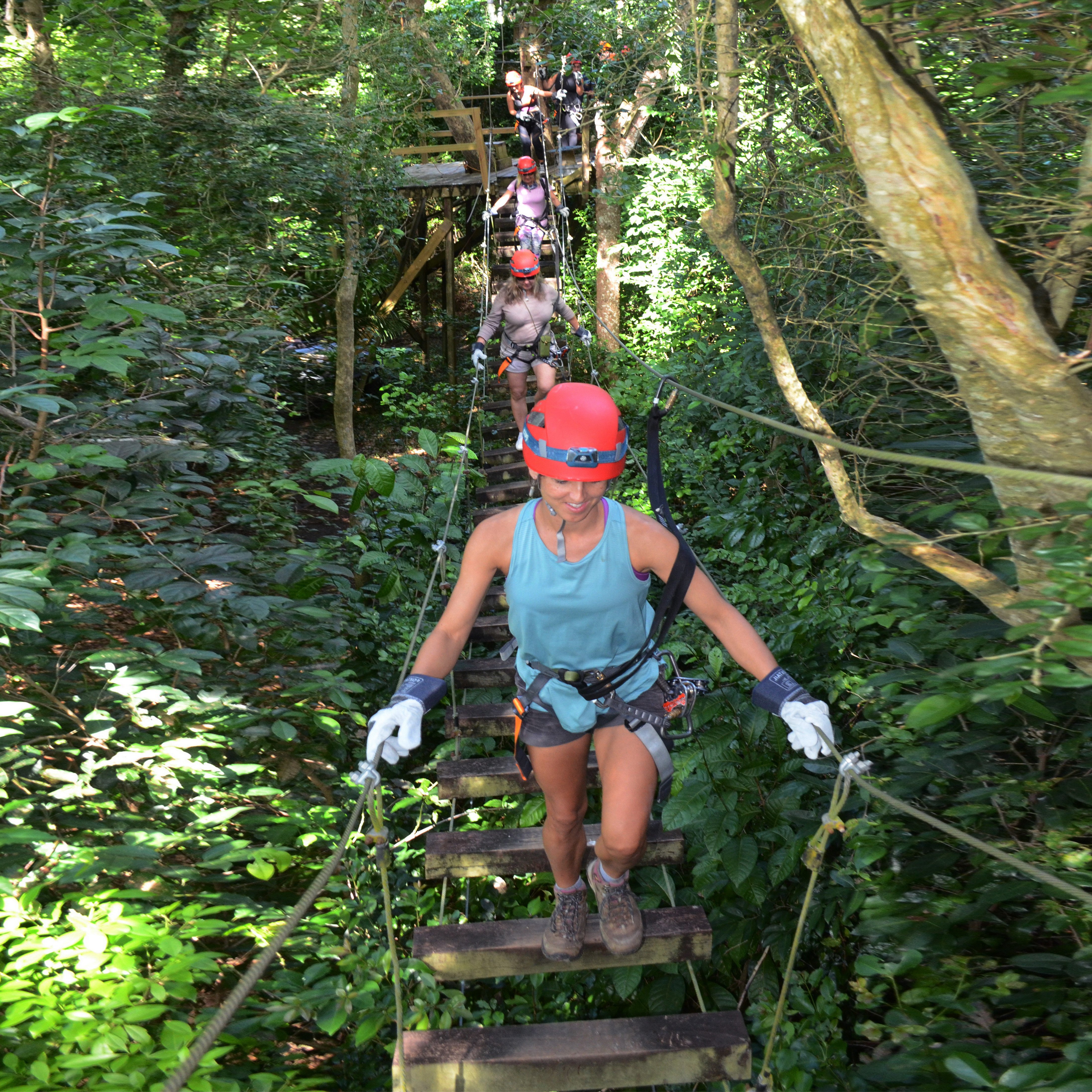 Hacienda Campo Rico Zipline & Canopy Adventure