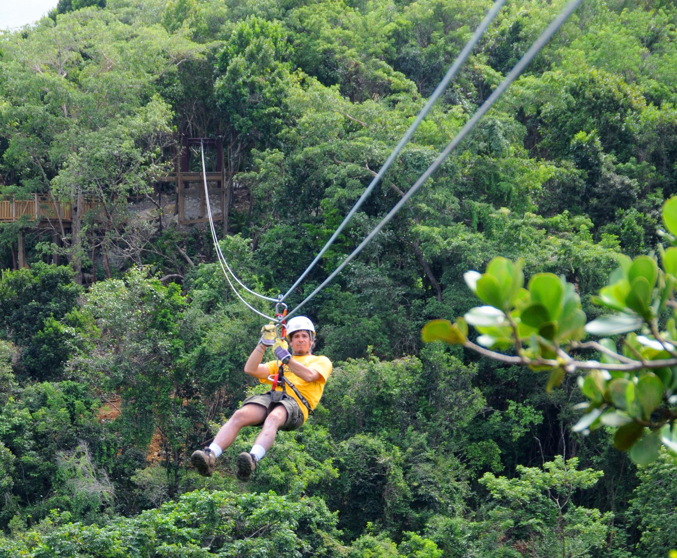 Hacienda Campo Rico Zipline & Canopy Adventure