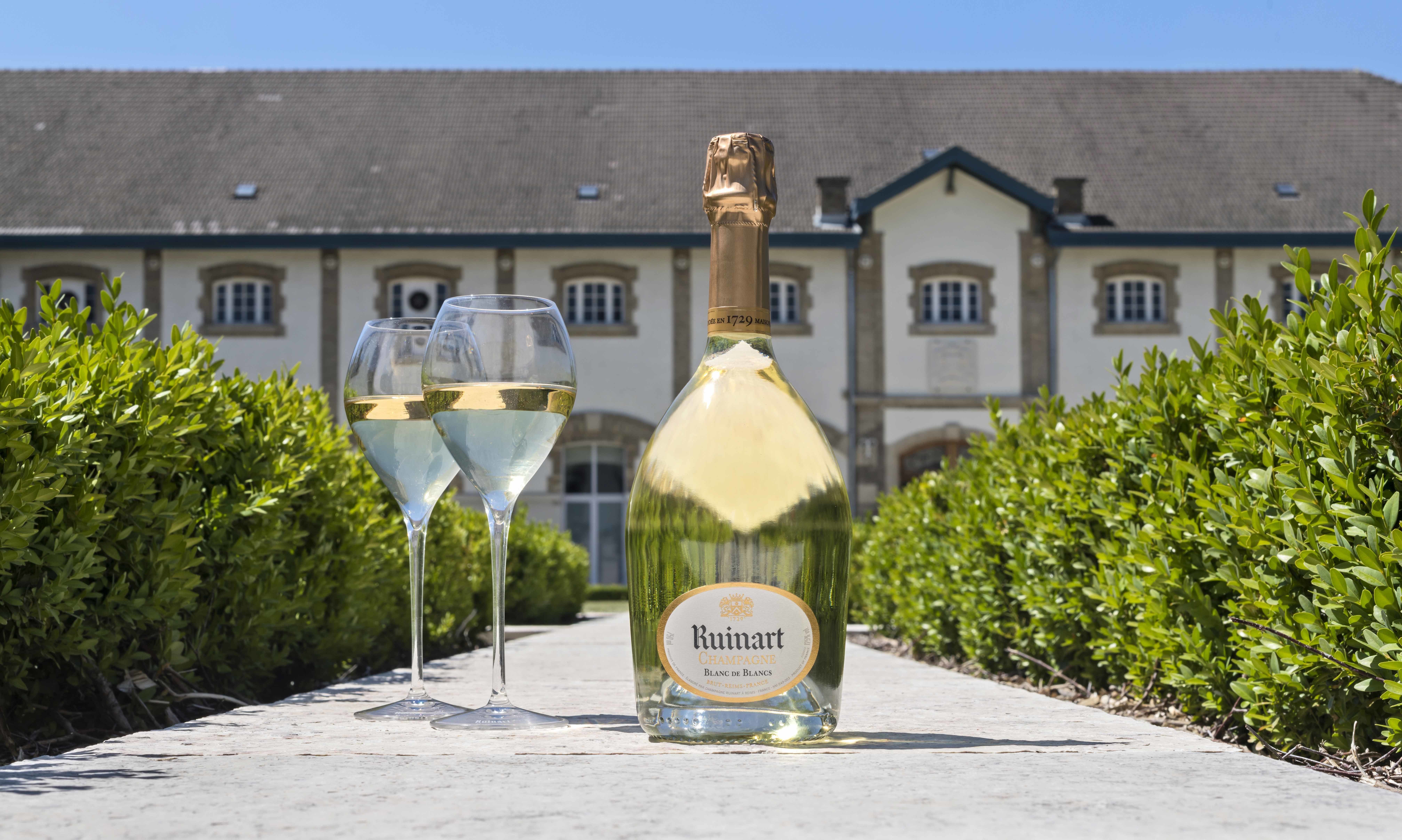 VIP Champagne Tasting Day Trip from Paris with Michelin Lunch
