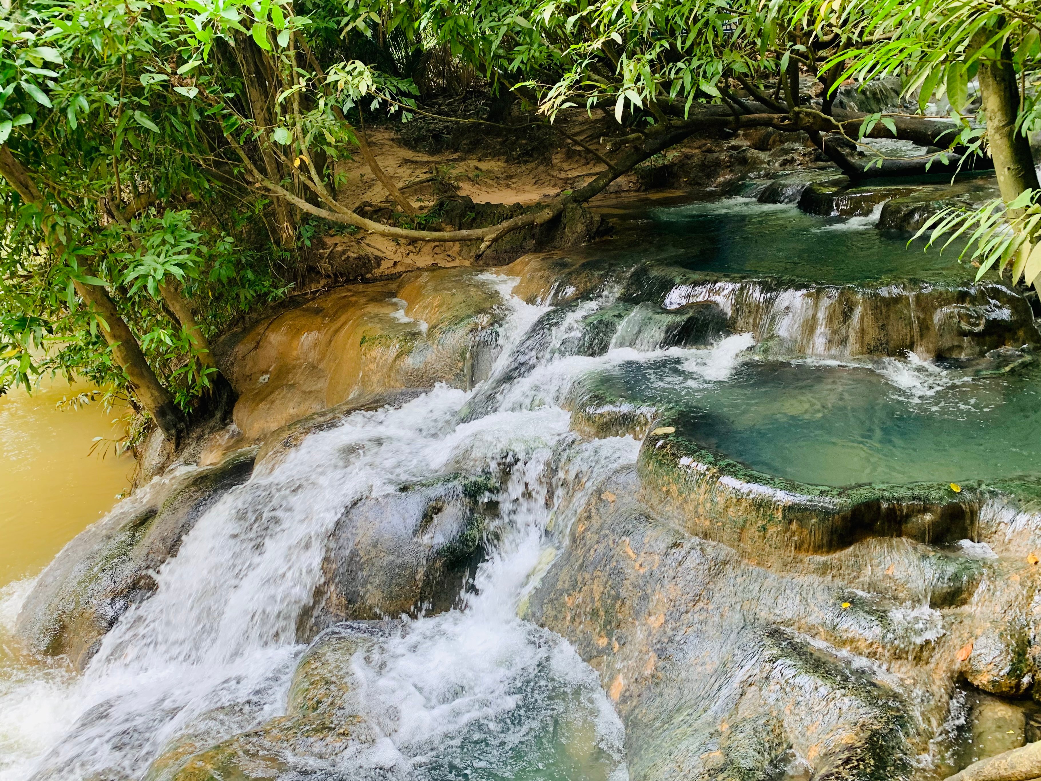 Krabi Jungle Day Tour: Hot Spring, Emerald Pool & Tiger Cave Temple