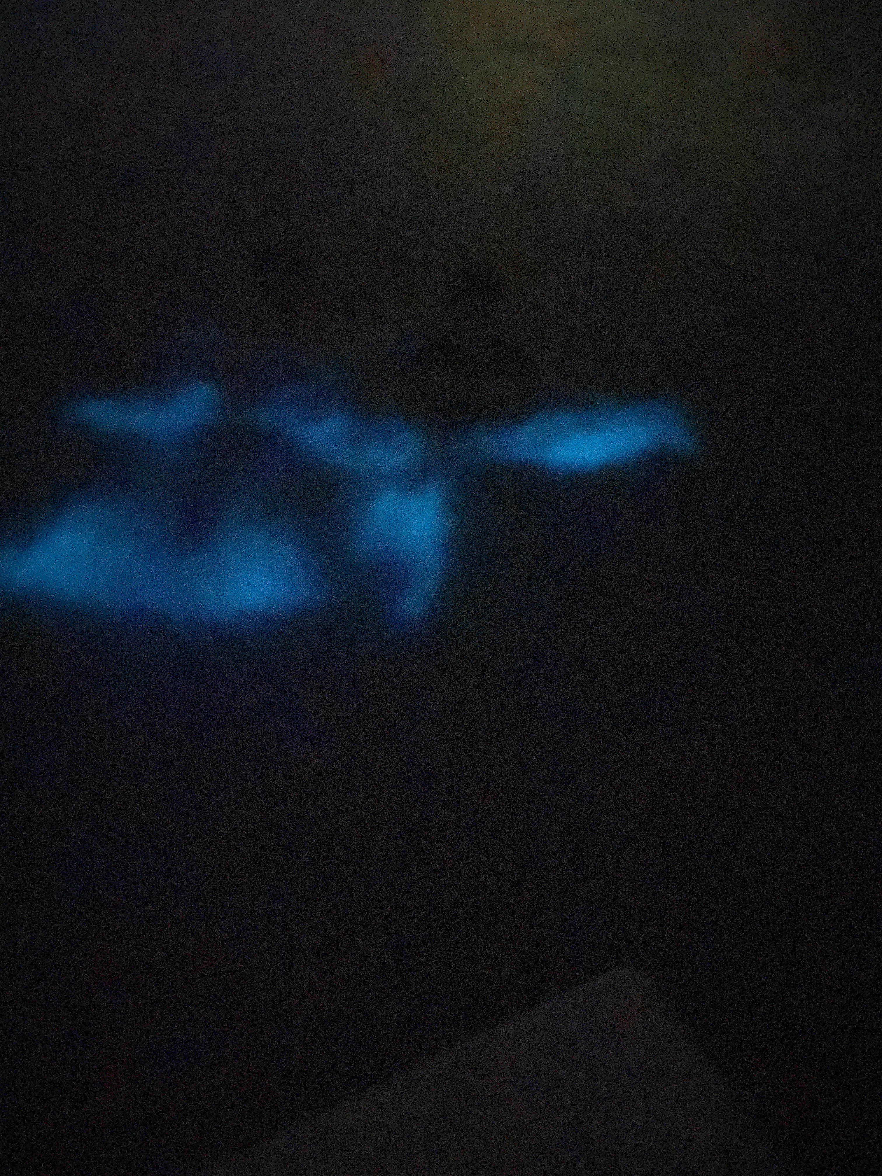 La Parguera Sunset & Bioluminescent Bay Boat Tour