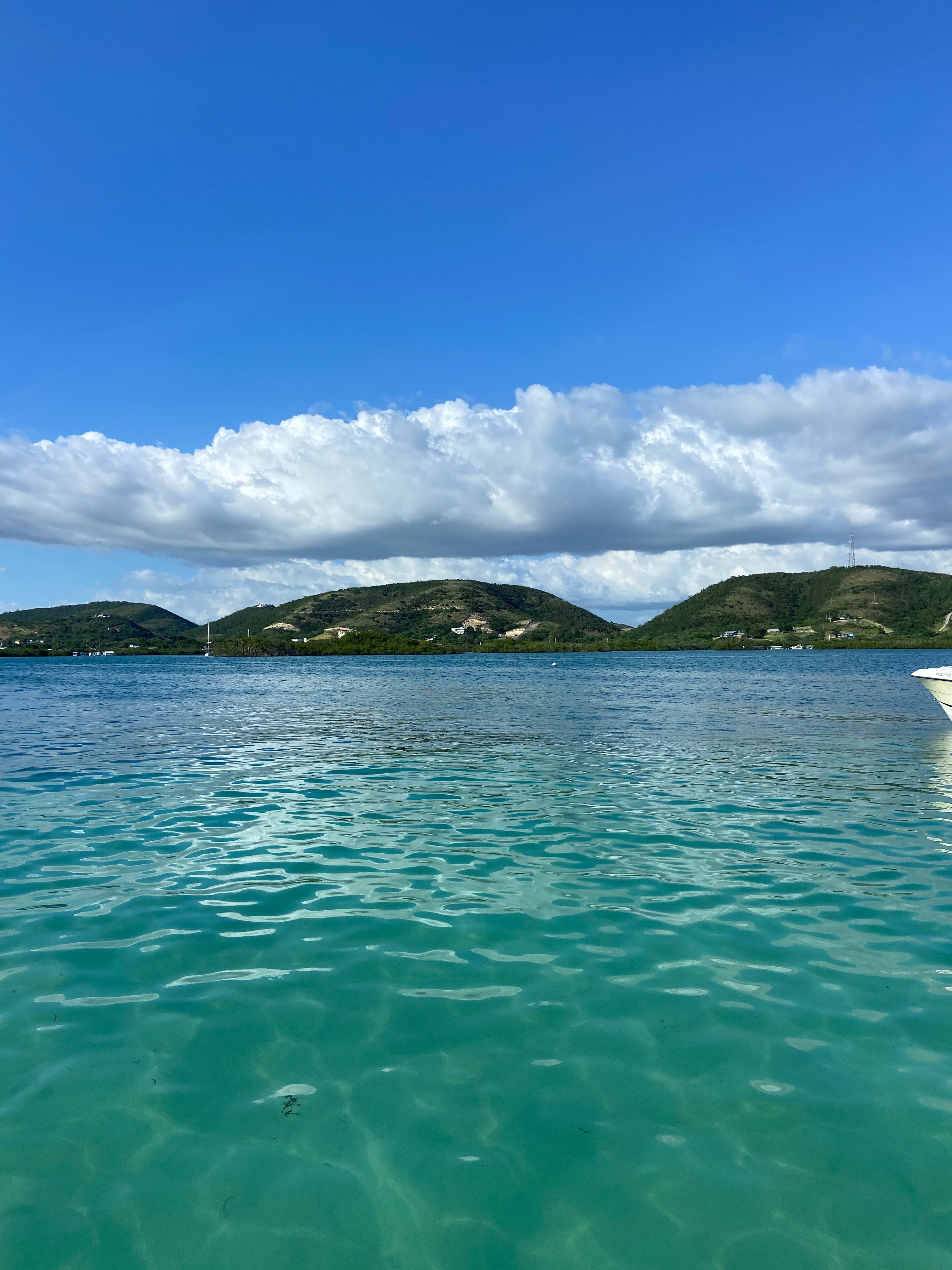 La Parguera Sunset & Bioluminescent Bay Boat Tour