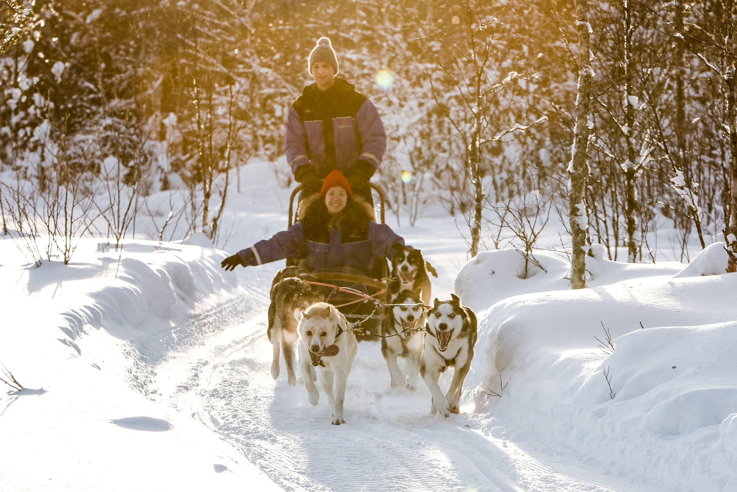 Rovaniemi Daytime Husky Safari