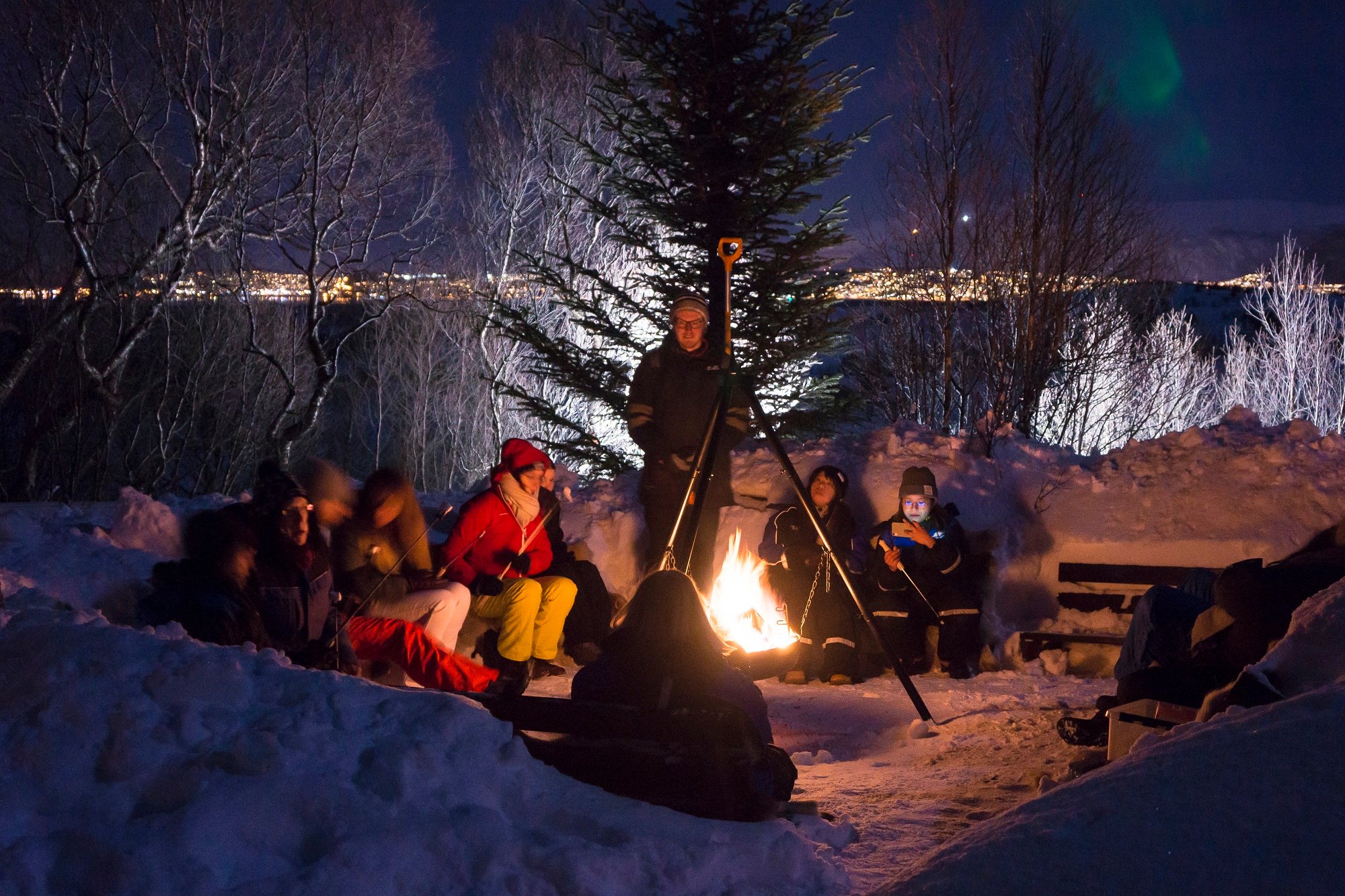 Tromsø: Northern Lights Husky Visit with Traditional Dinner