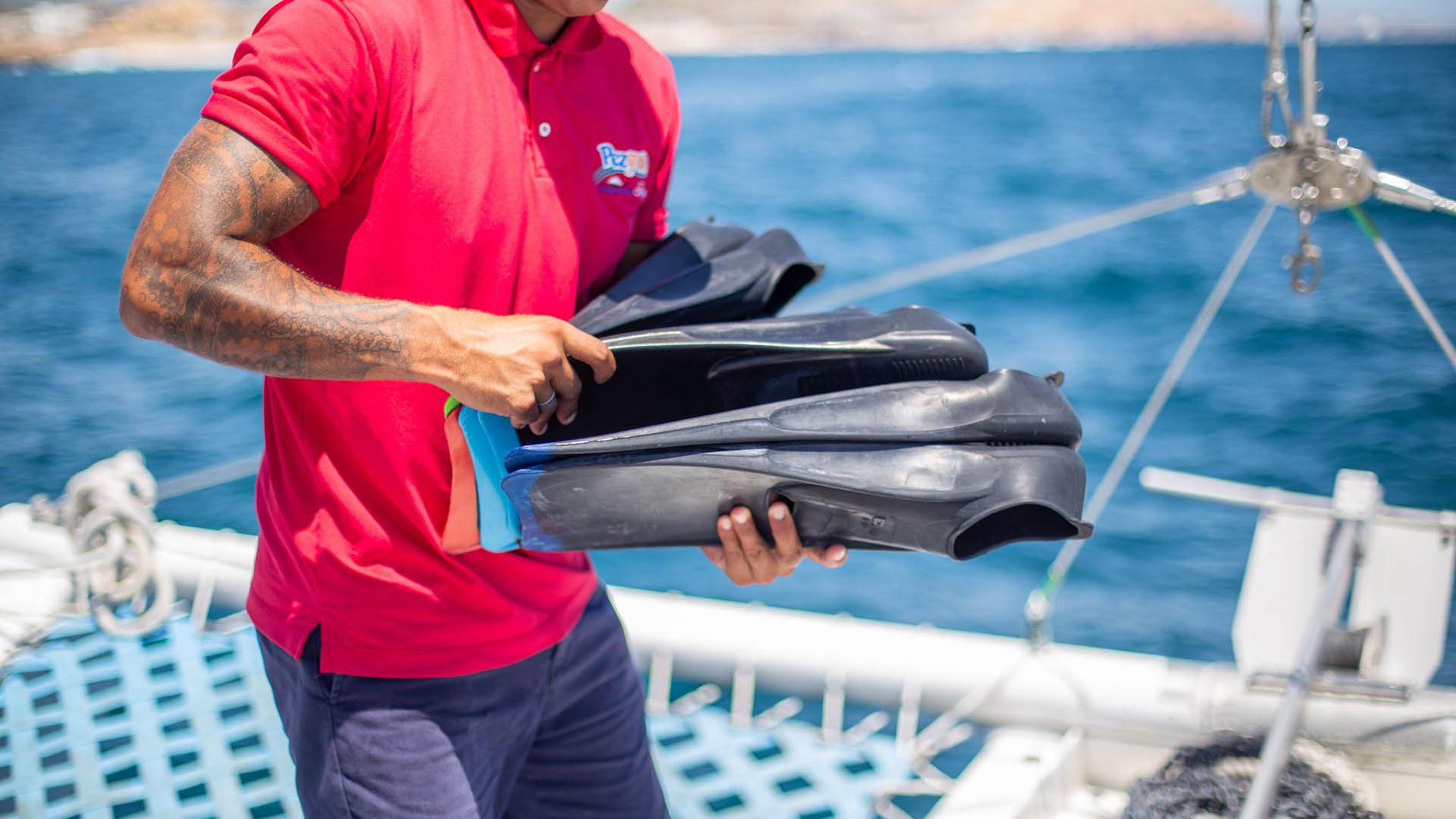 Cabo San Lucas 4-Hour Snorkeling Cruise with Open Bar