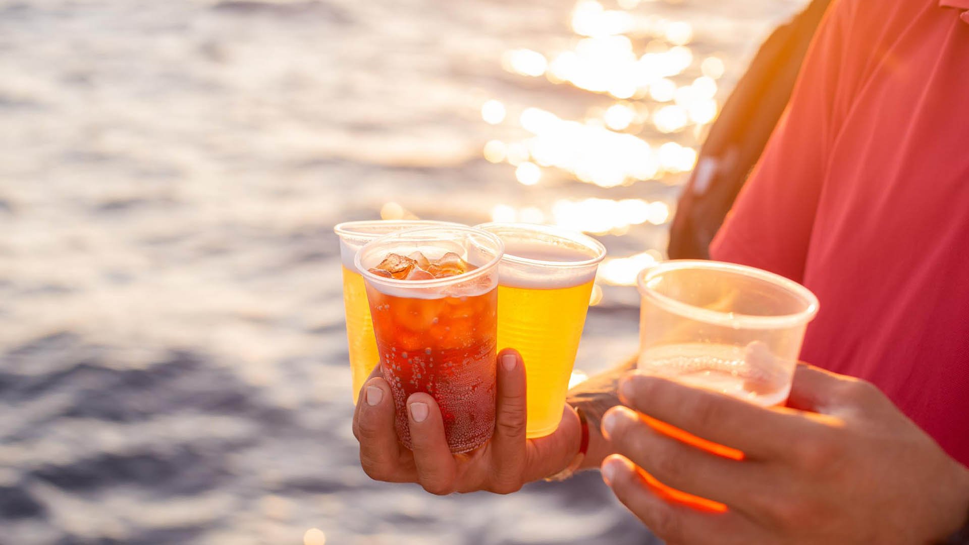 Cabo San Lucas Sunset Catamaran Cruise with Open Bar & Appetizers