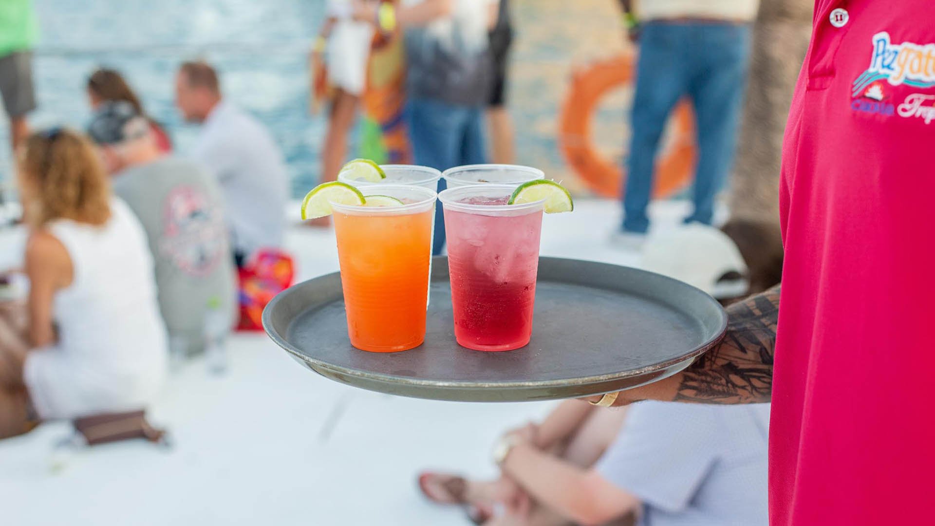 Cabo San Lucas Sunset Catamaran Cruise with Open Bar & Appetizers
