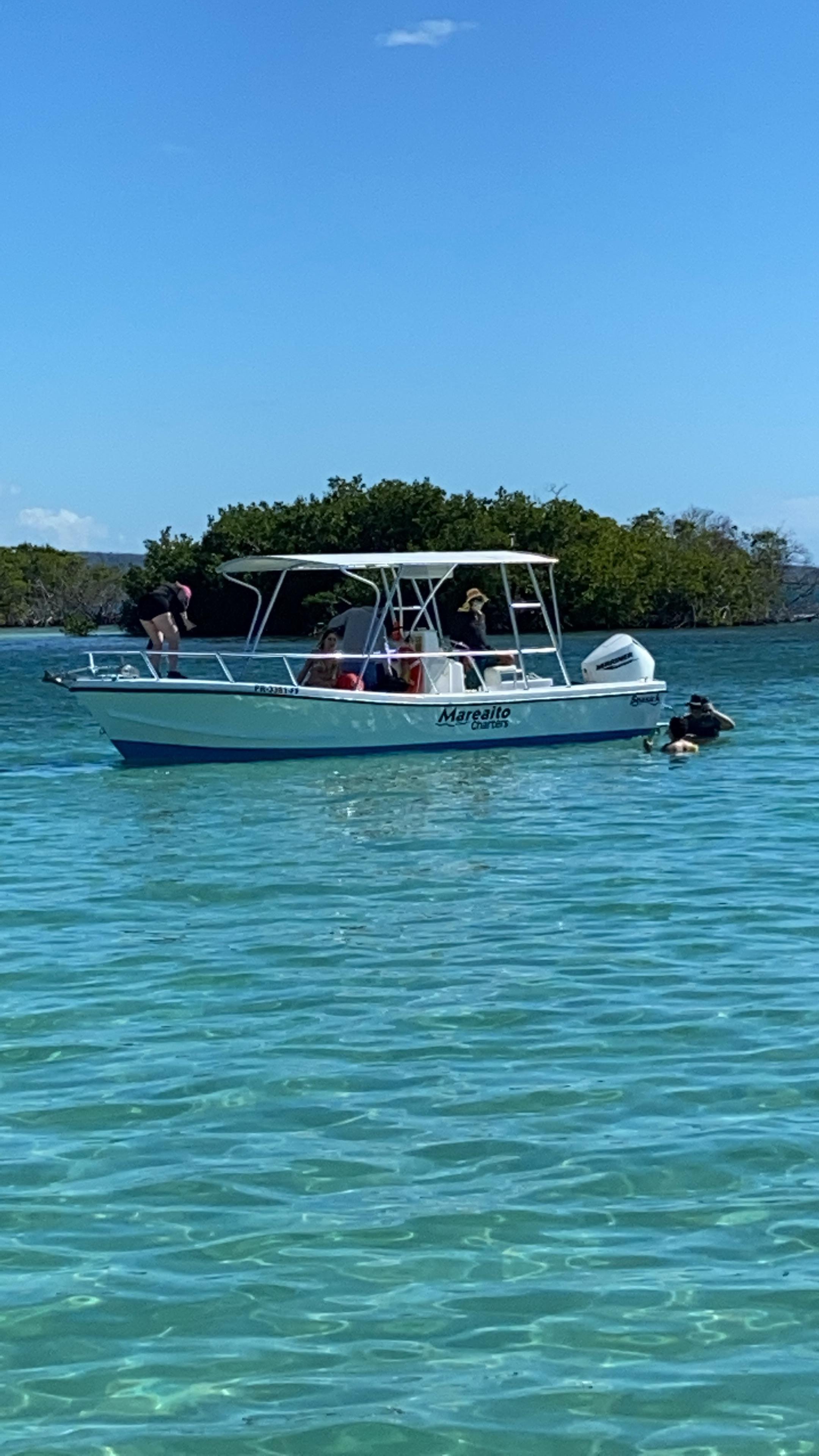 La Parguera Sandbar Speedboat Day Trip