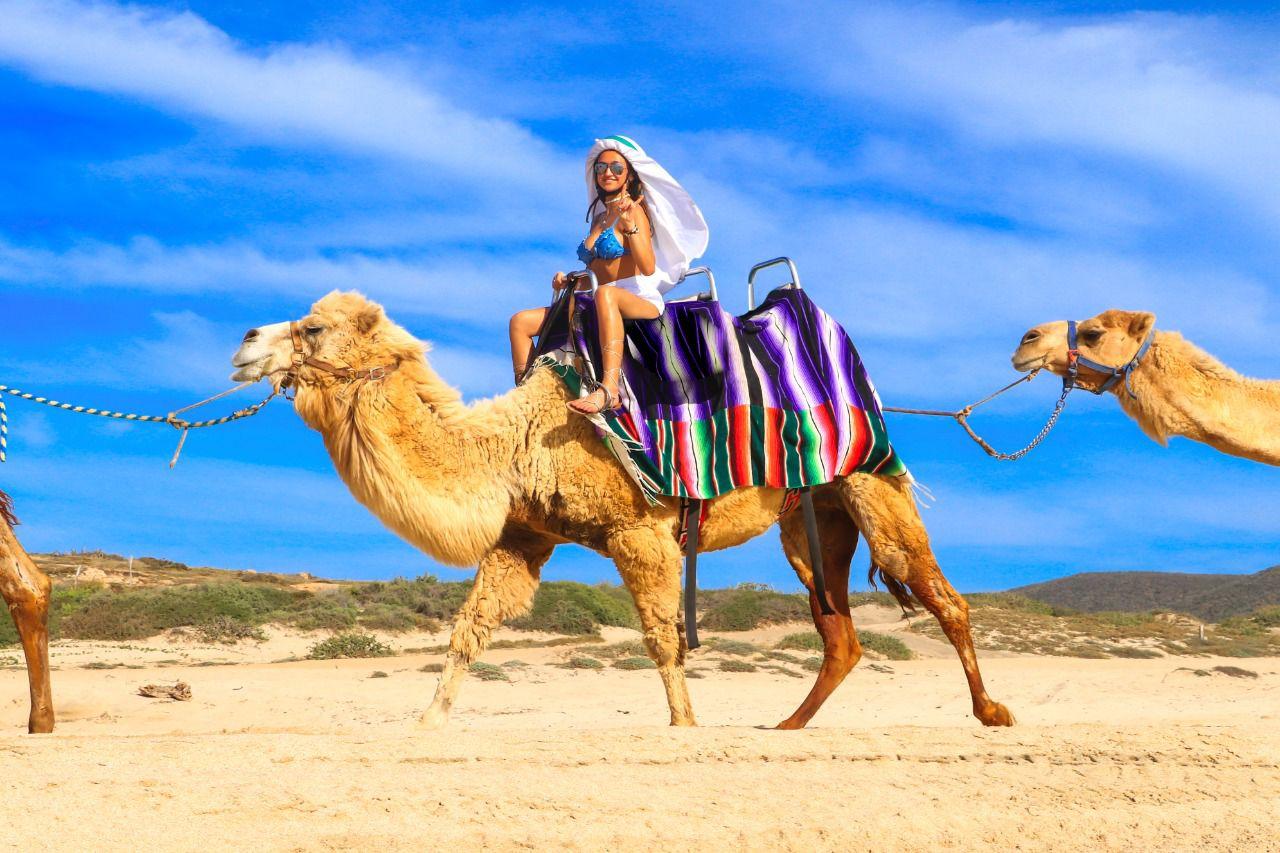 Cabo Camel Ride & UTV Desert Combo