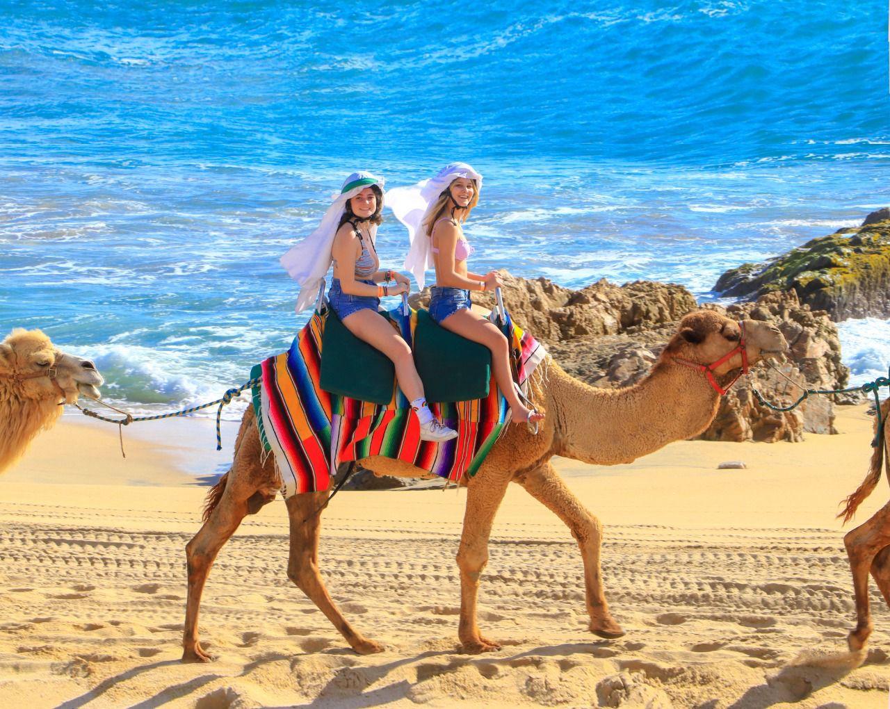 Cabo Camel Ride & UTV Desert Combo