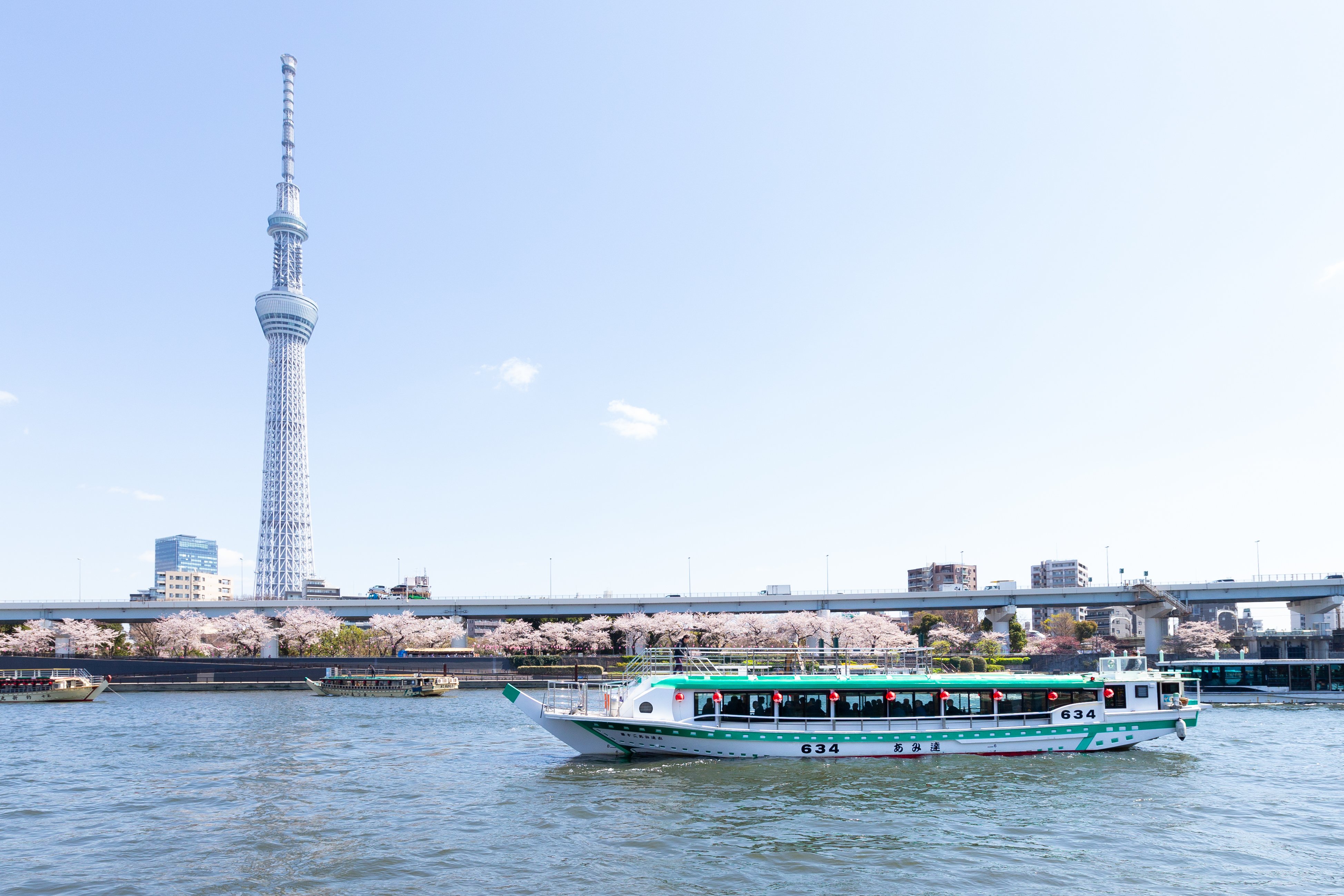 Sumida River dinner cruise — image 4
