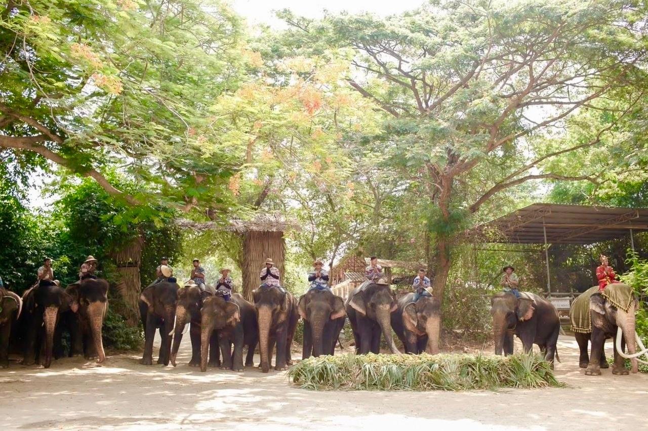 Private Bangkok–Pattaya Transfer: Sedan, MPV & Van Options