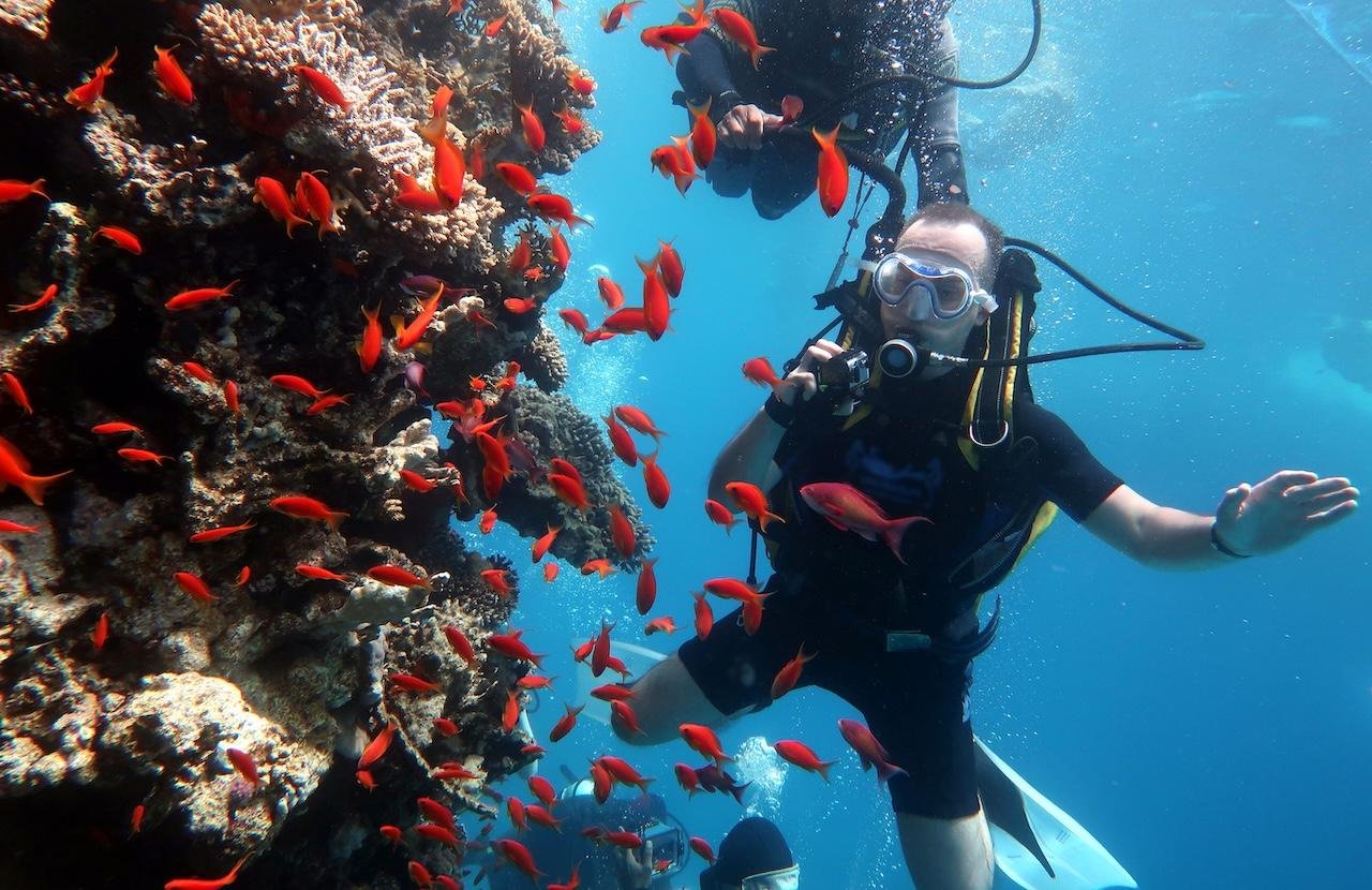 Red Sea Yacht Day: Two Islands, Dolphins & Intro Dive