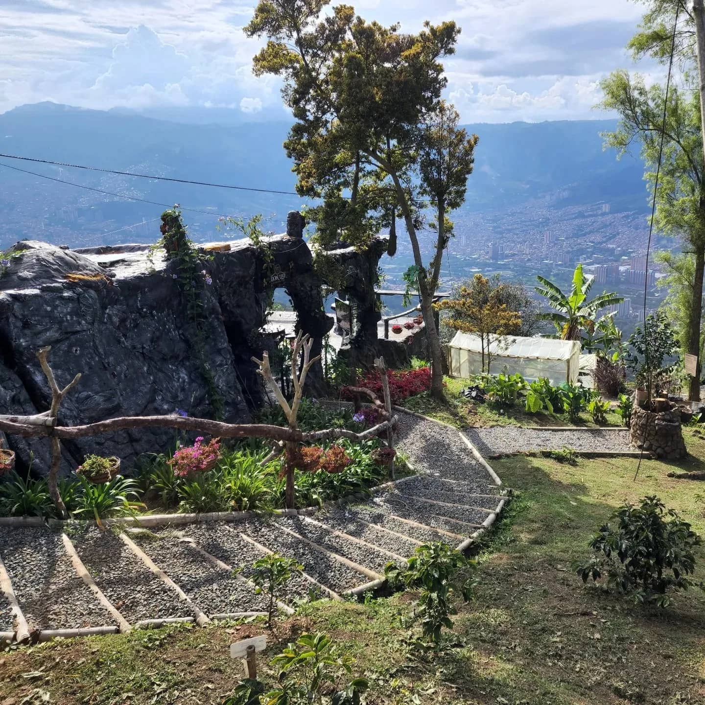 Don Leandro Coffee Farm & Tasting Experience