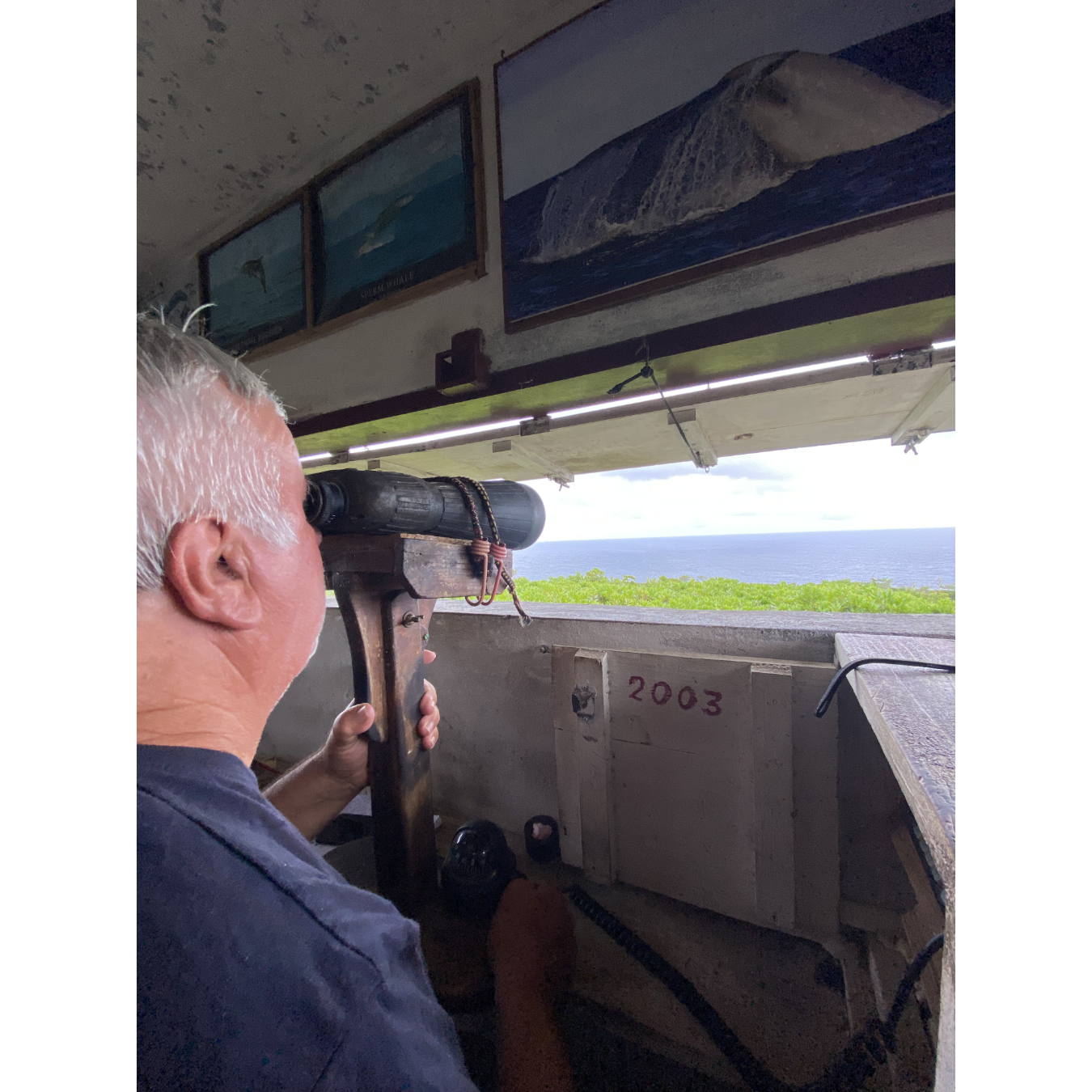 Pico Island: Guided Whale Lookout & Cultural Heritage Tour