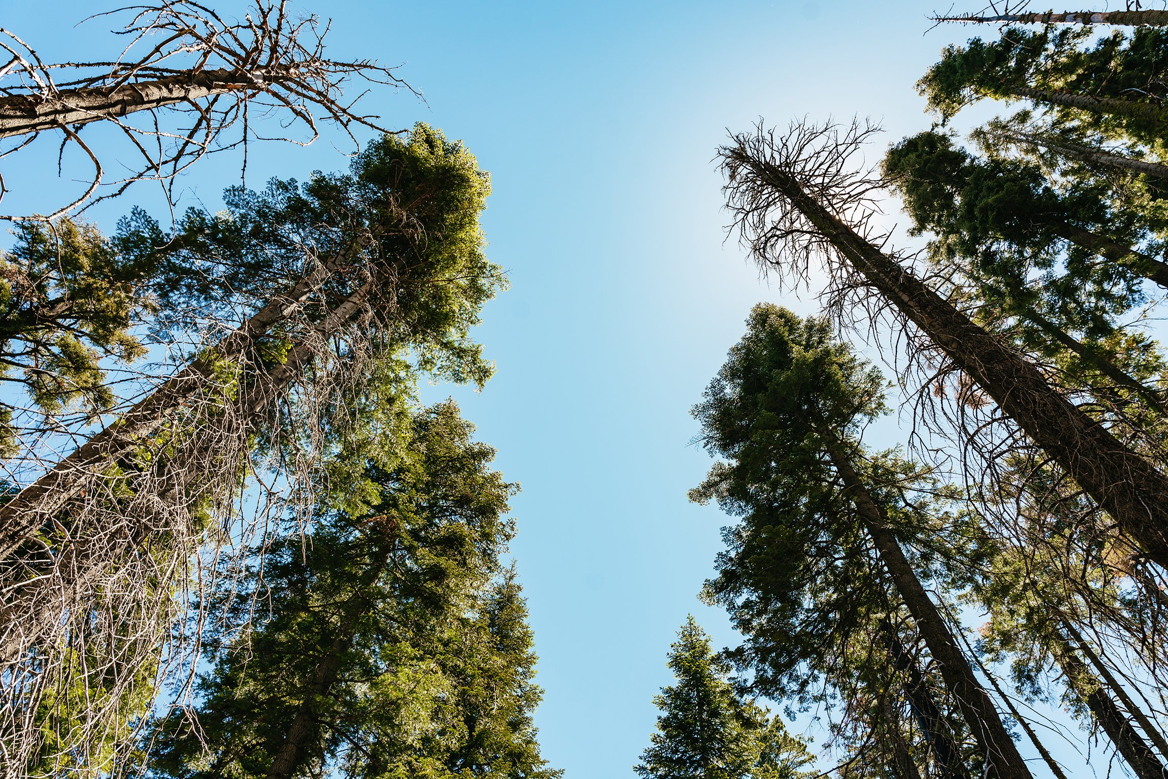 Yosemite National Park granite cliffs and waterfalls seen on a day trip from San Francisco — image 9