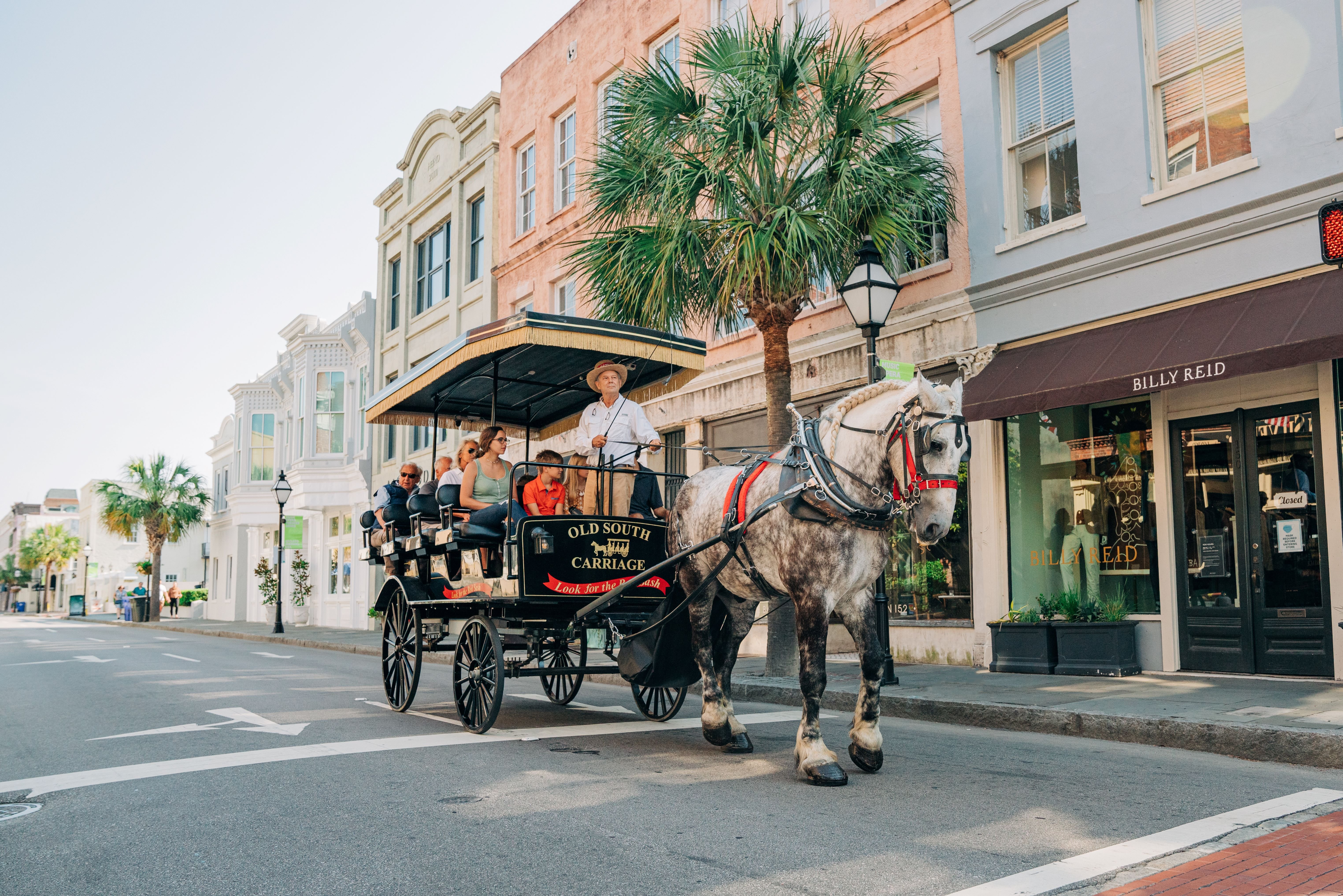 Charleston Historic Downtown Horse-Drawn Carriage Tour
