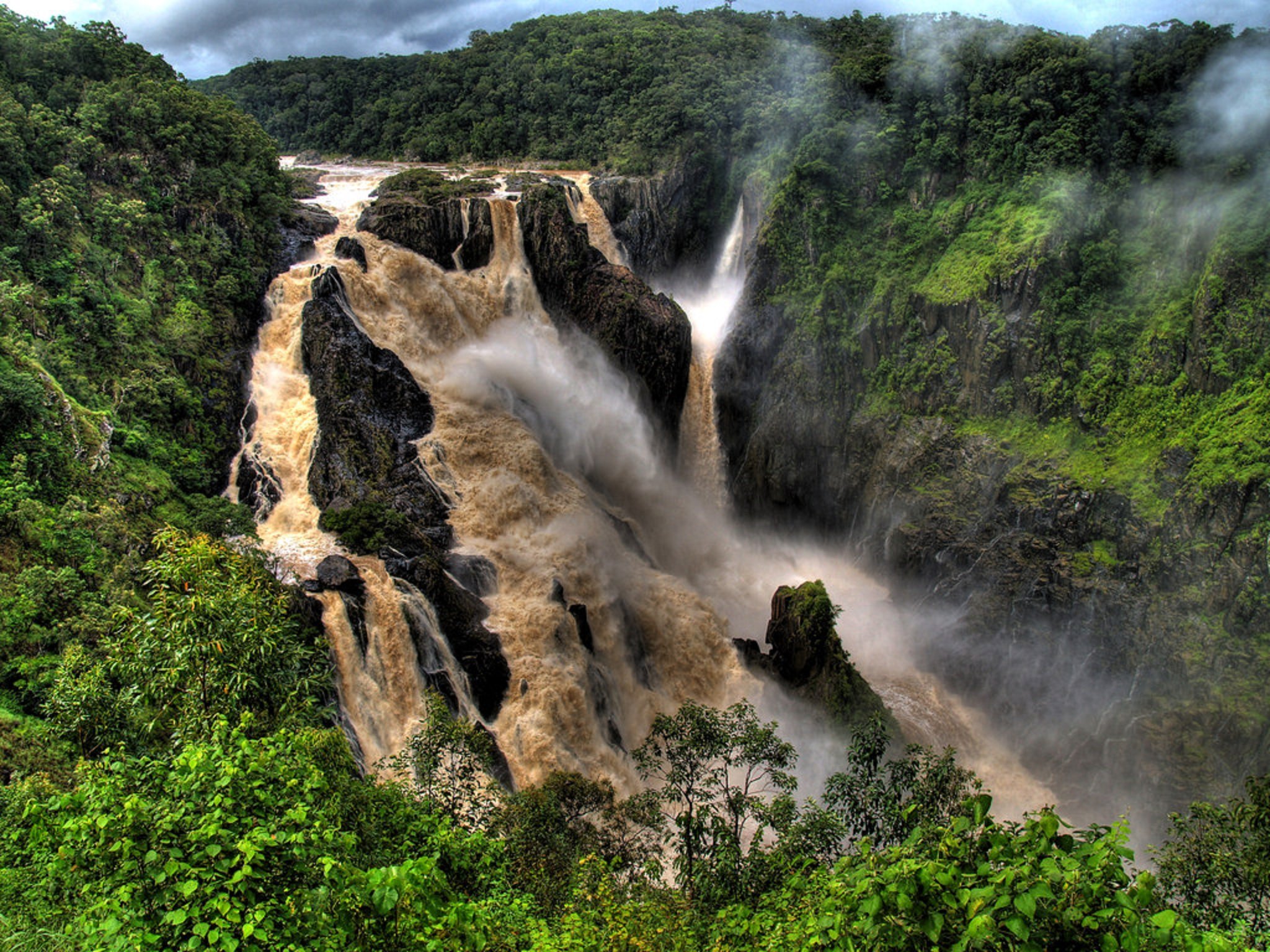 Kuranda Rainforest Day Tour from Port Douglas: Scenic Rail & Skyrail Options