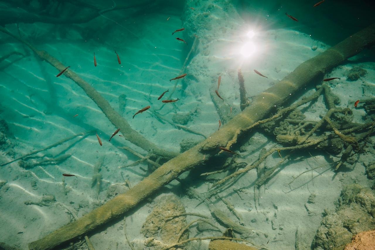 Plitvice Lakes Self-Guided Day Trip from Split