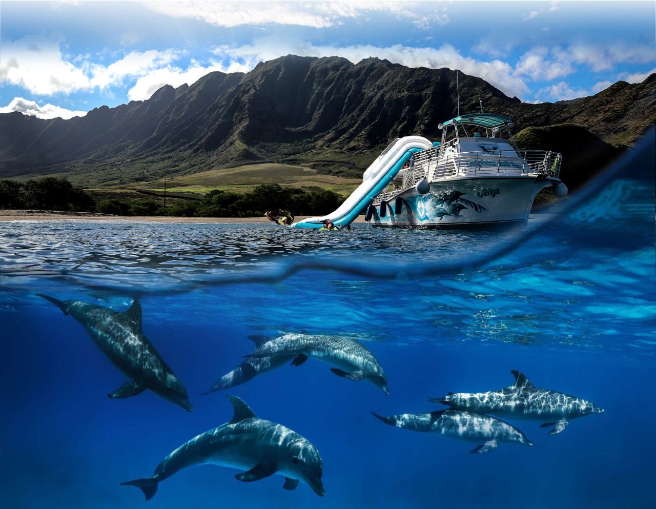 Oahu Dolphin Watching Cruise & Turtle Snorkel with Waterslide