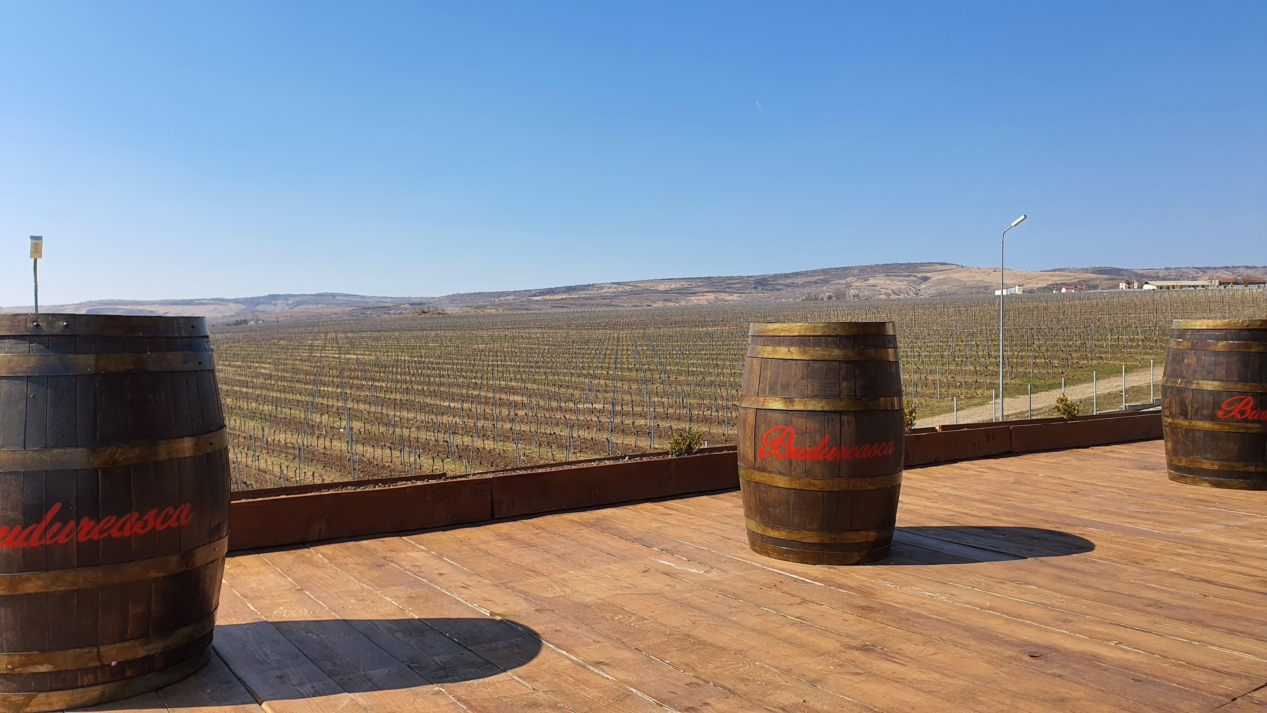 Private Dealu Mare Wine Region Experience from Bucharest
