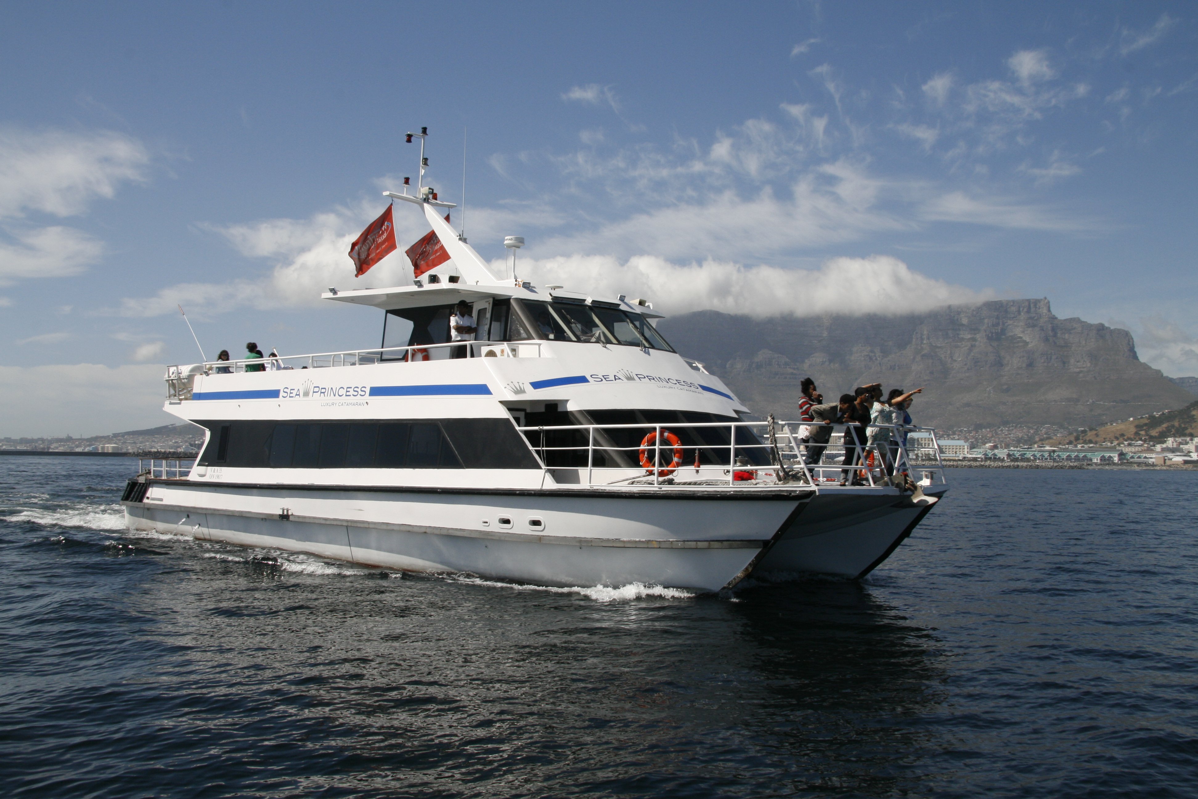 Cape Town Coastal Catamaran Cruise