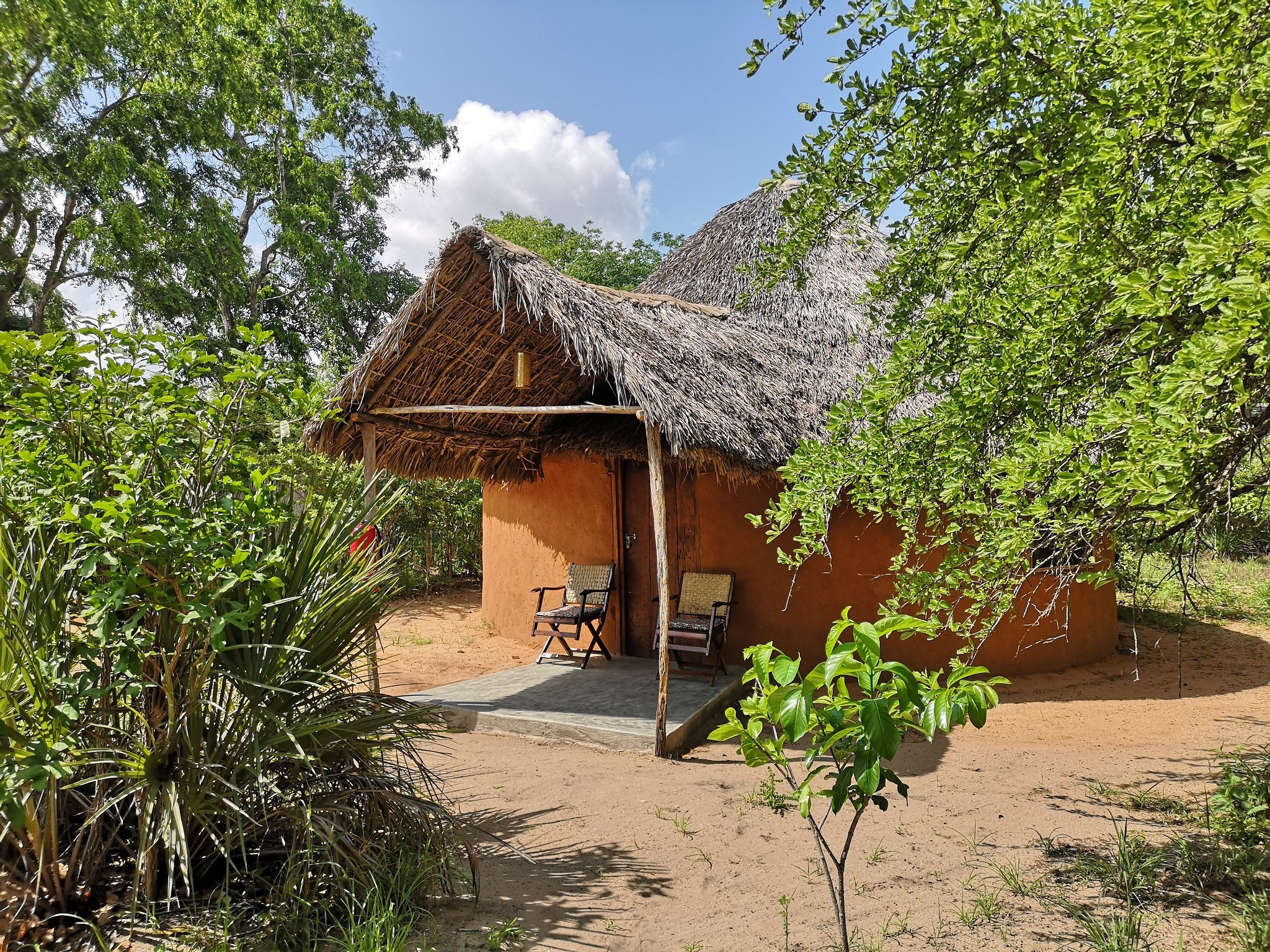 Zanzibar to Selous: 2-Day Safari with Flights & Bush Lunch