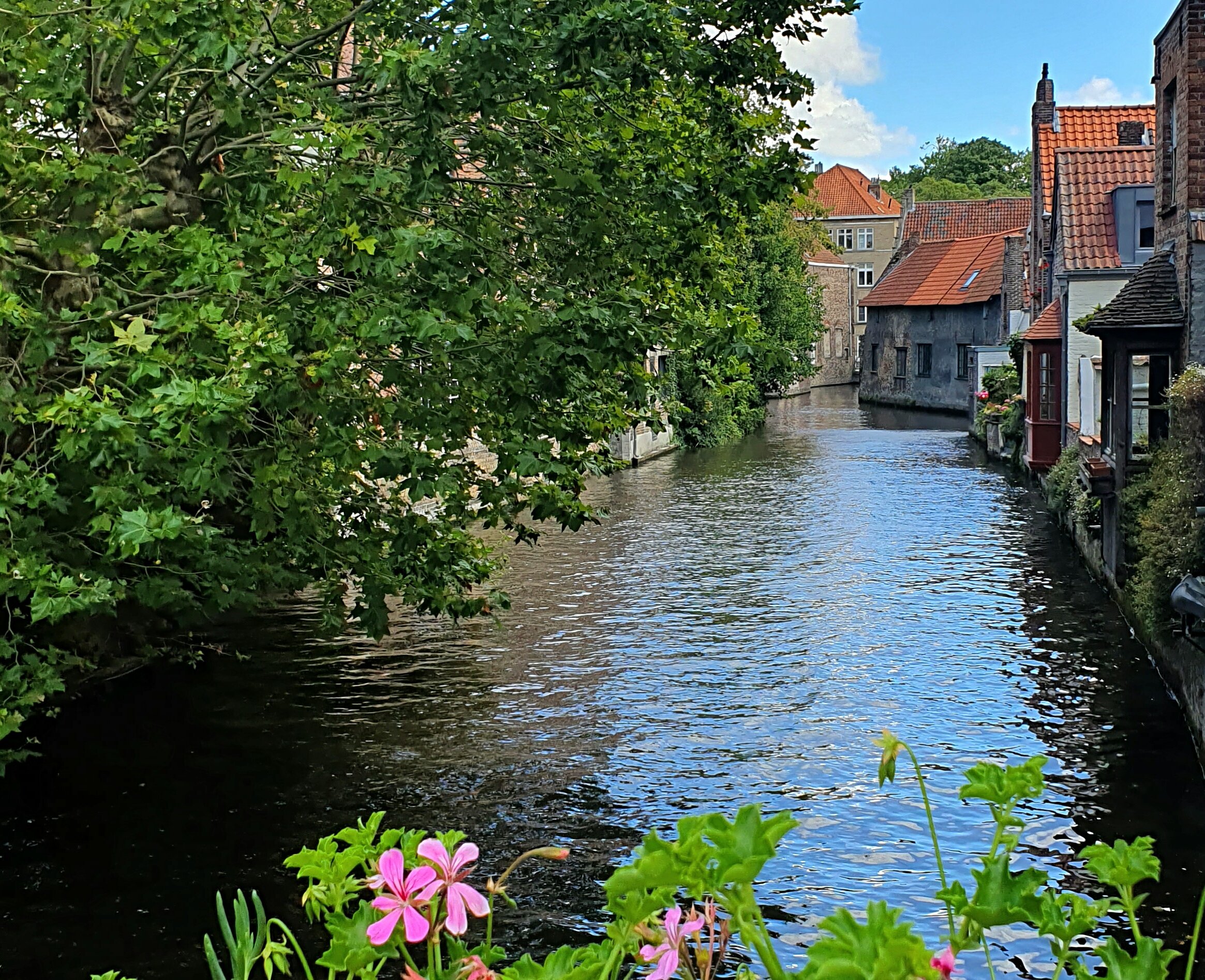 Bruges canal boat tour — medieval canals, low bridges, the Belfry and the Beguinage in the Venice of the North — image 8