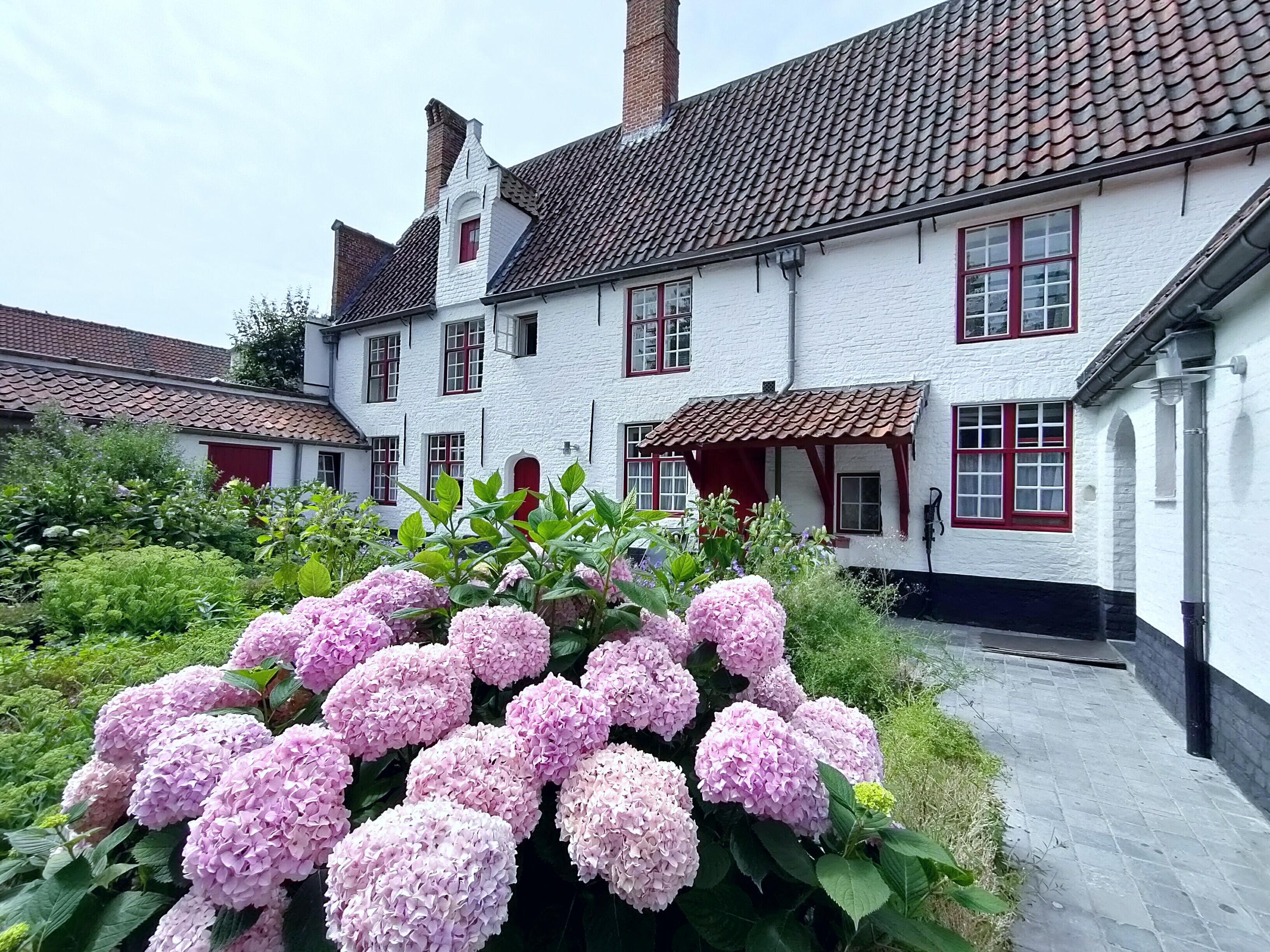 Bruges canal boat tour — medieval canals, low bridges, the Belfry and the Beguinage in the Venice of the North — image 9