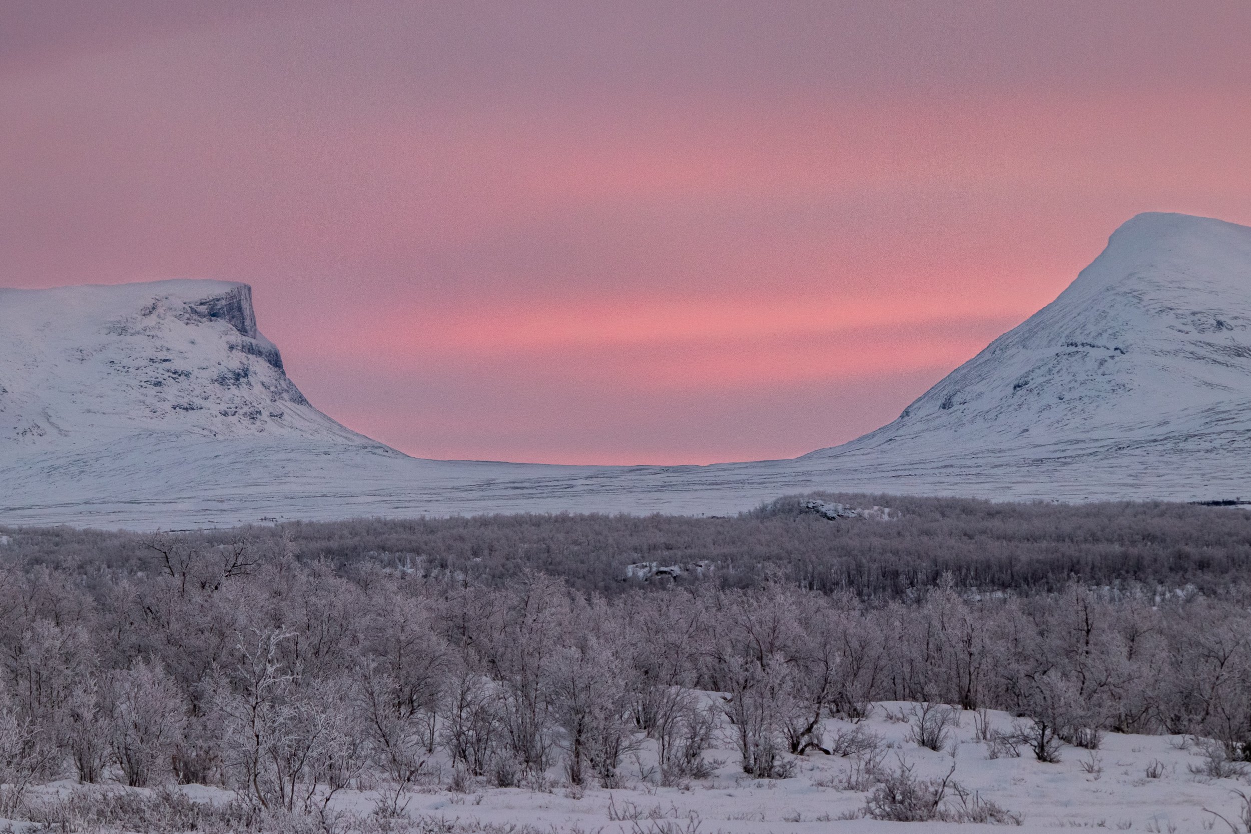 Morning Hike Through Abisko National Park