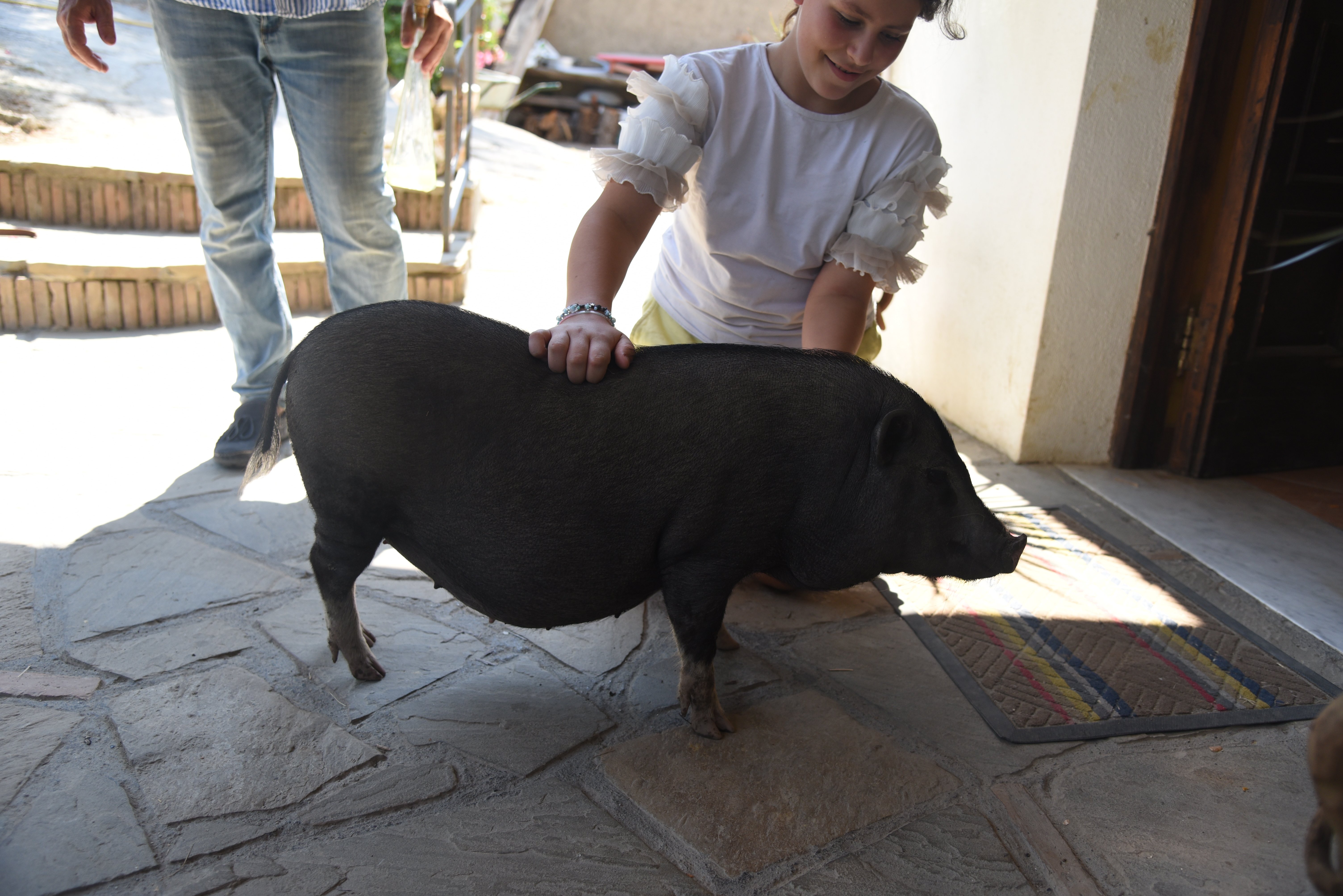 cooking class in Sorrento — photo 17