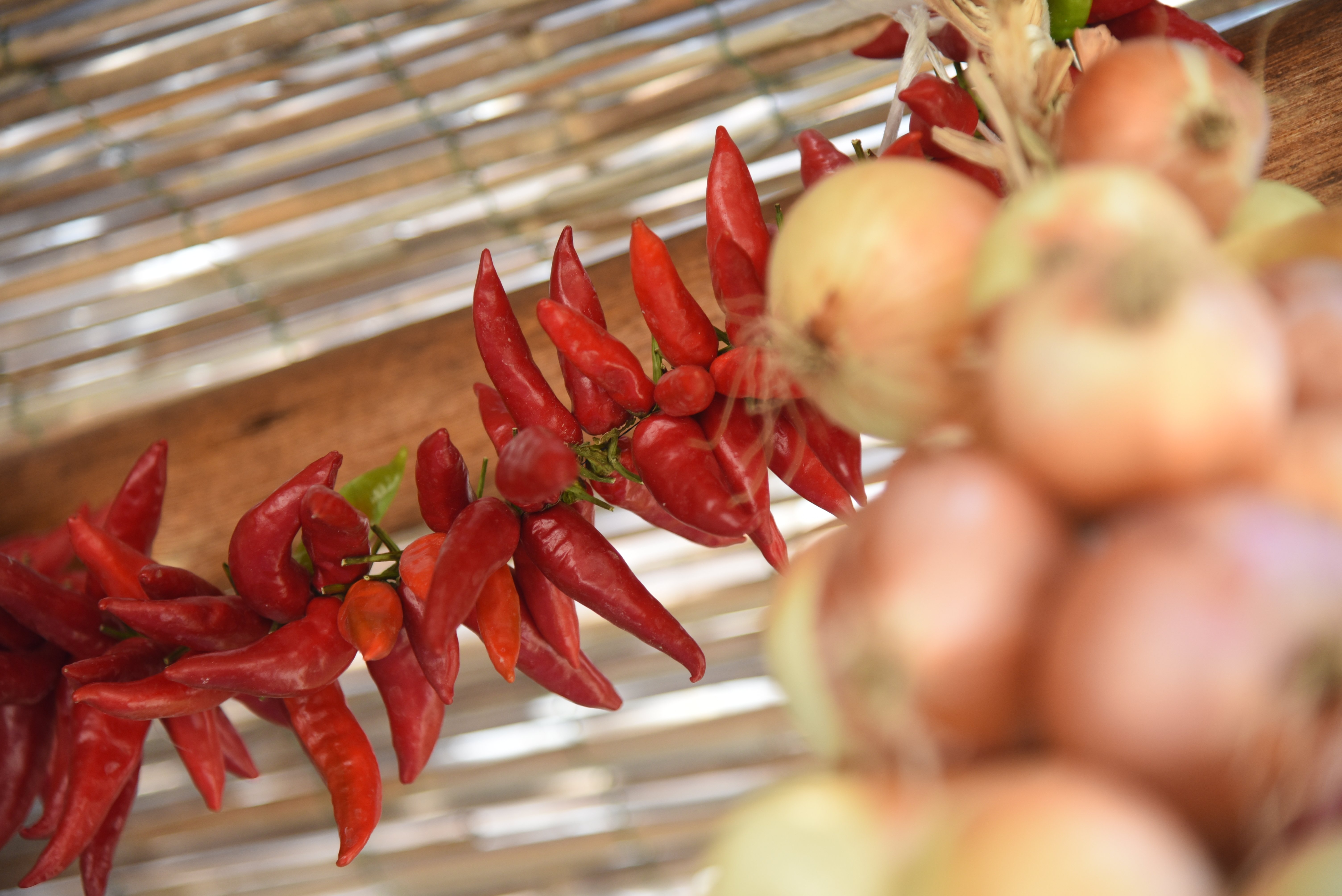 cooking class in Sorrento — photo 18