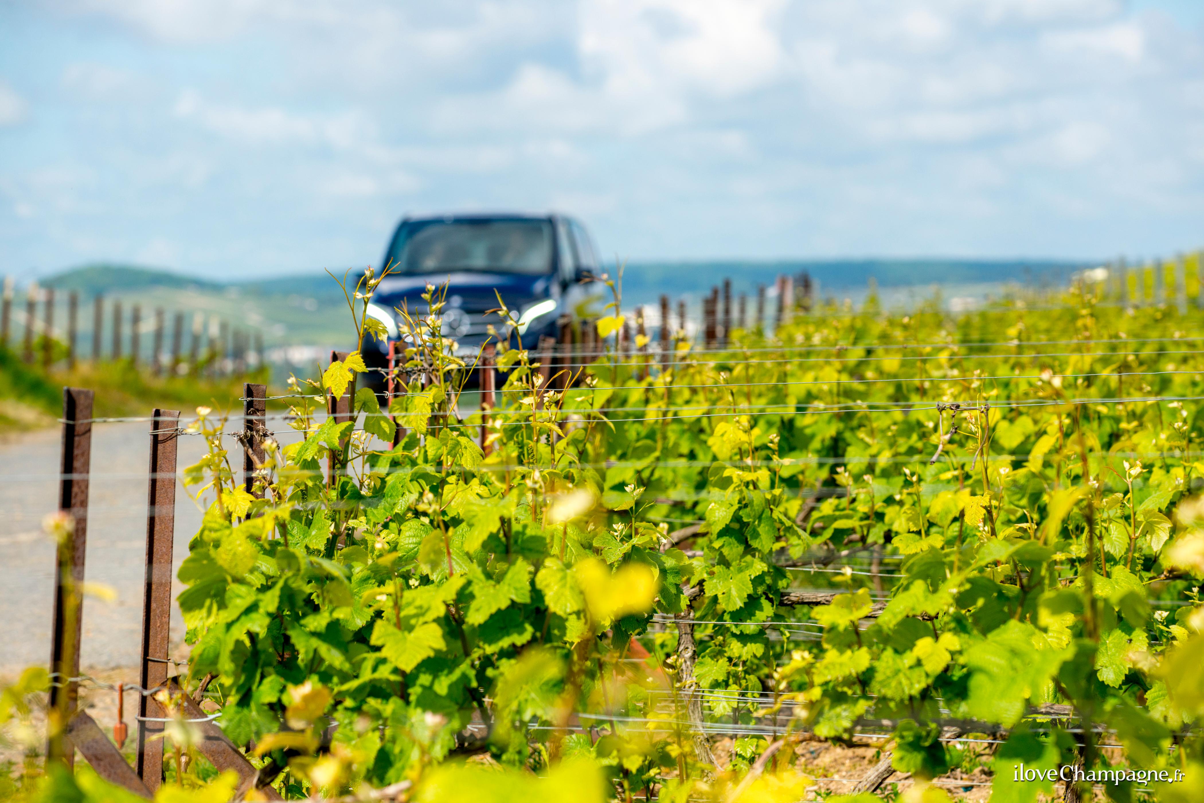 From Reims: Morning Champagne Tour and Tastings