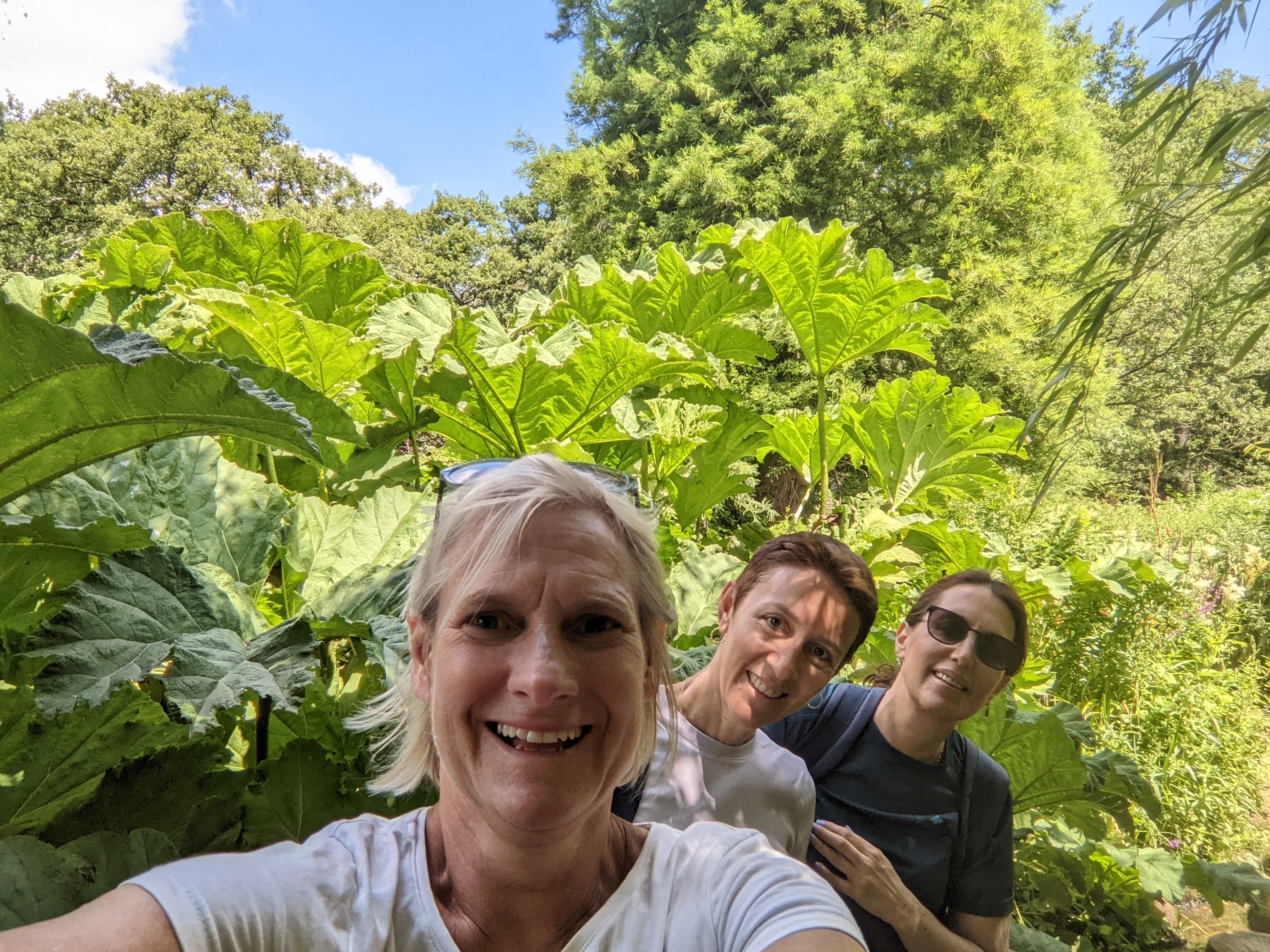 London Royal Deer Park & Thames Cycling Adventure