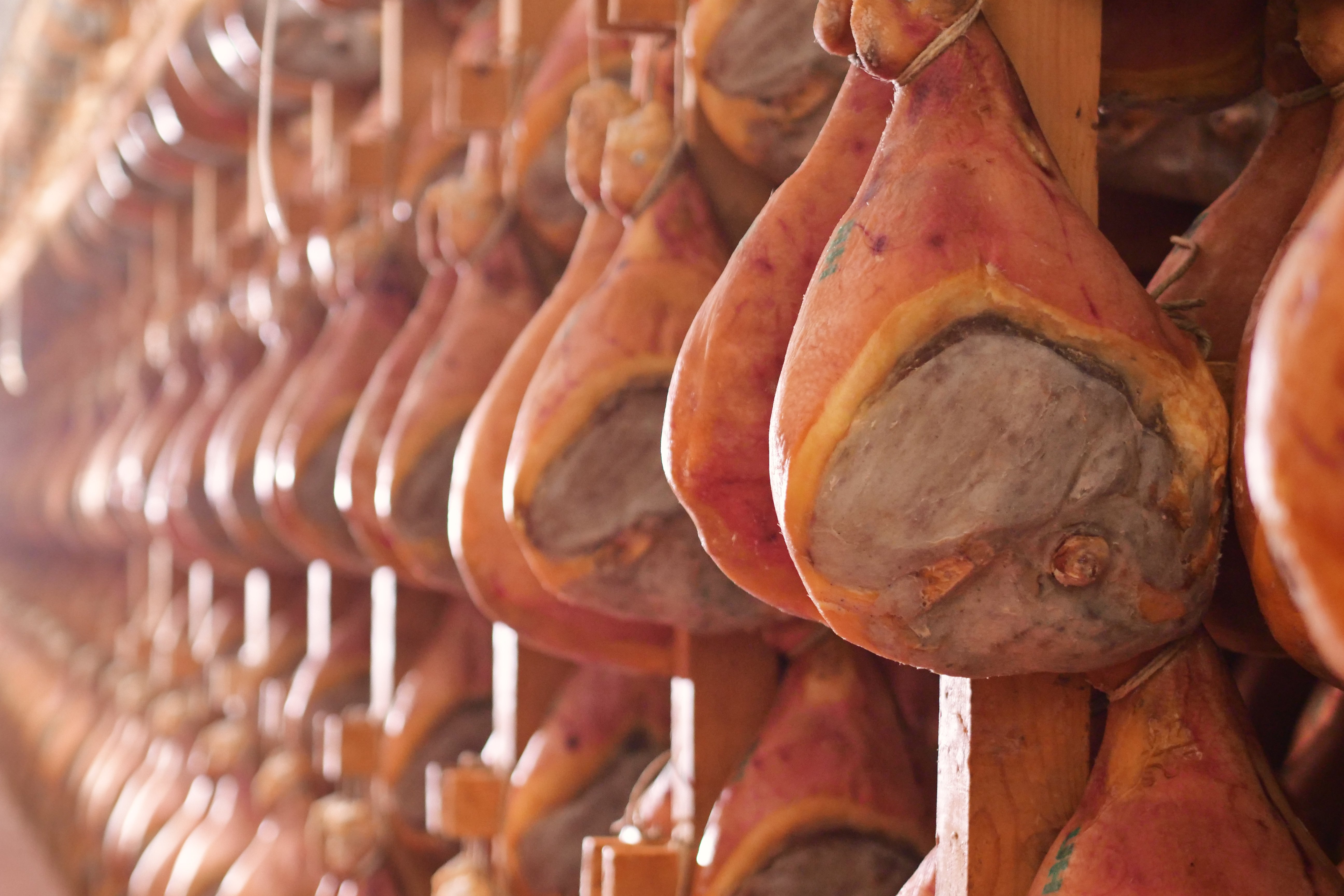 cheese tasting in Modena — photo 6