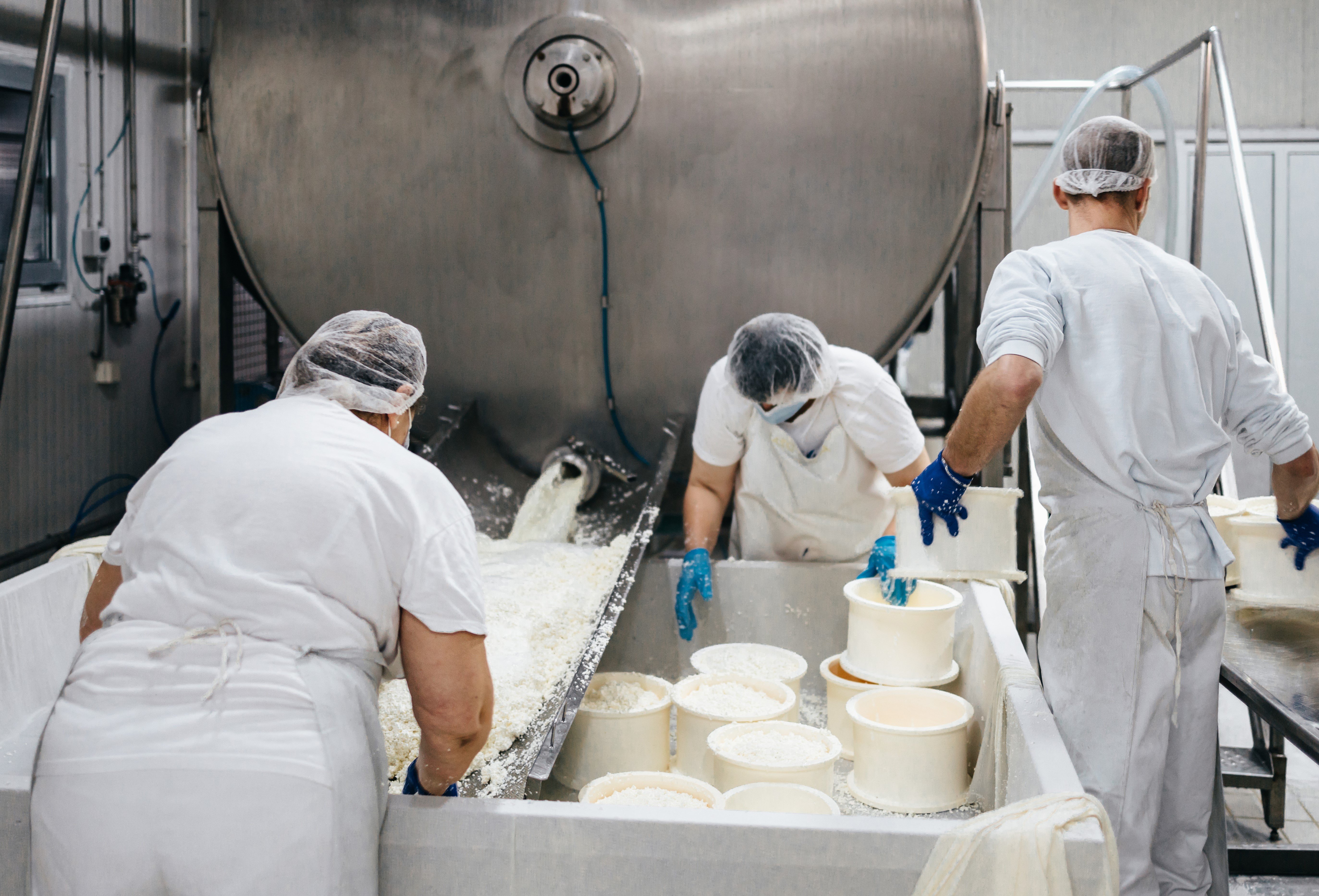 cheese tasting in Modena — photo 3