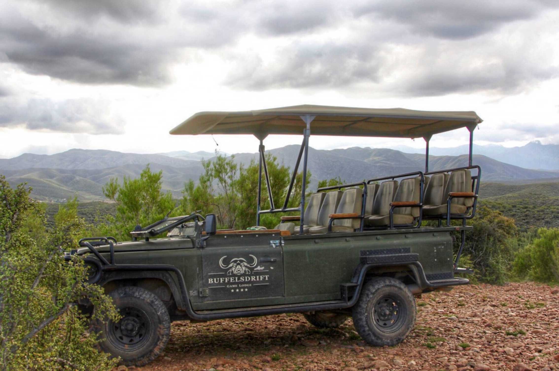 Cape Town: 2-Day Garden Route Safari & Luxury Glamping Experience