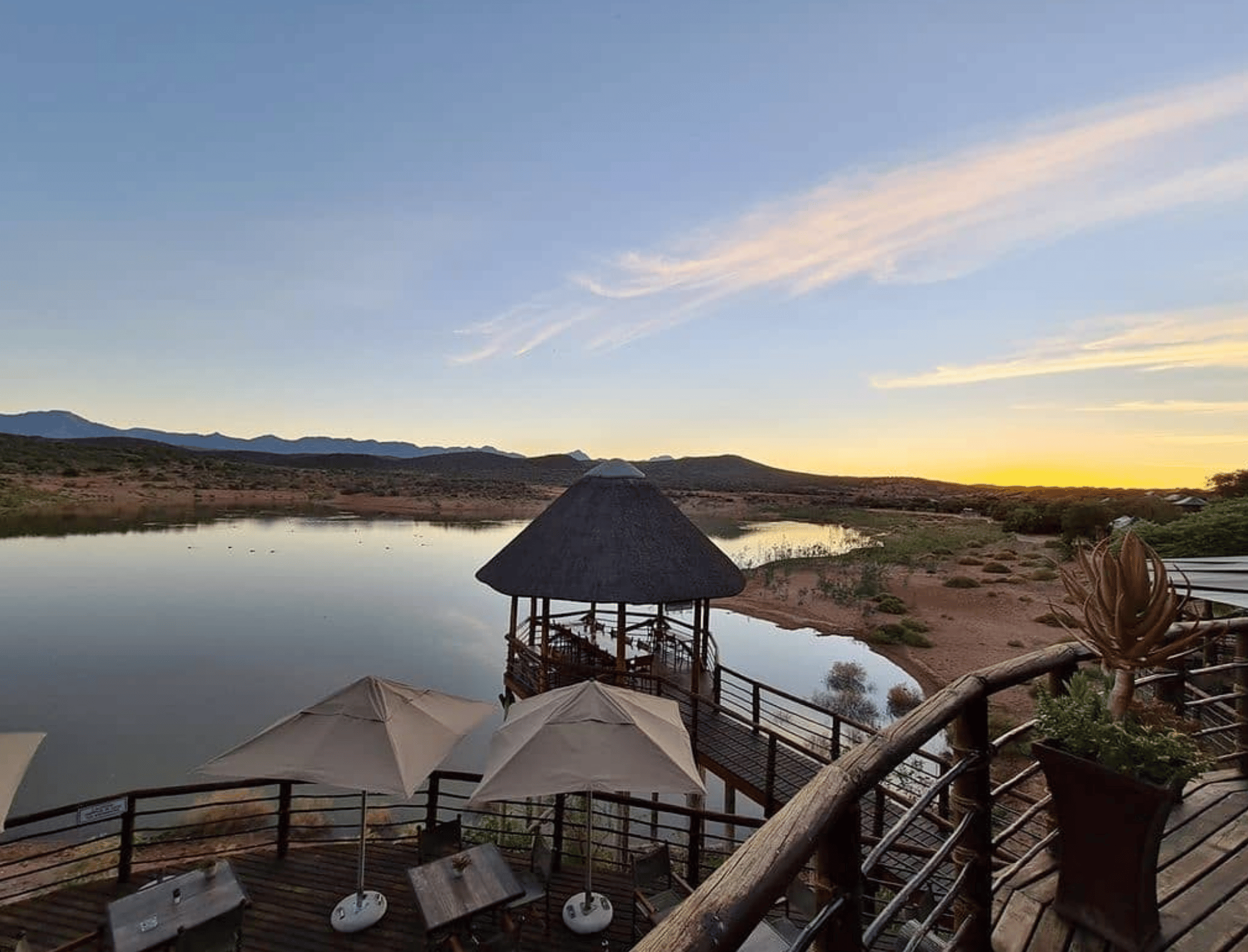 Cape Town: 2-Day Garden Route Safari & Luxury Glamping Experience