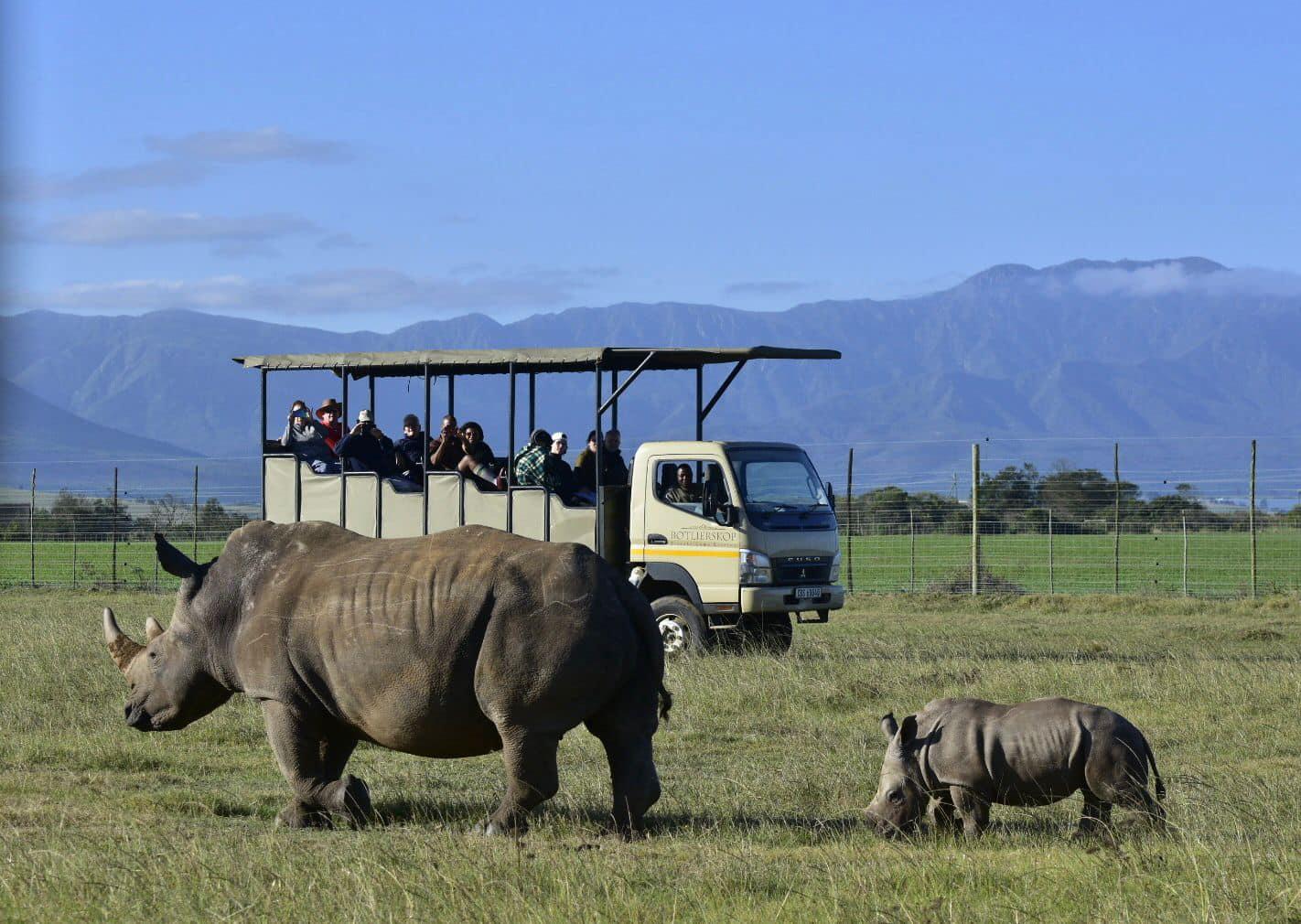 Cape Town to Garden Route: 2-Day Big Five Safari Adventure