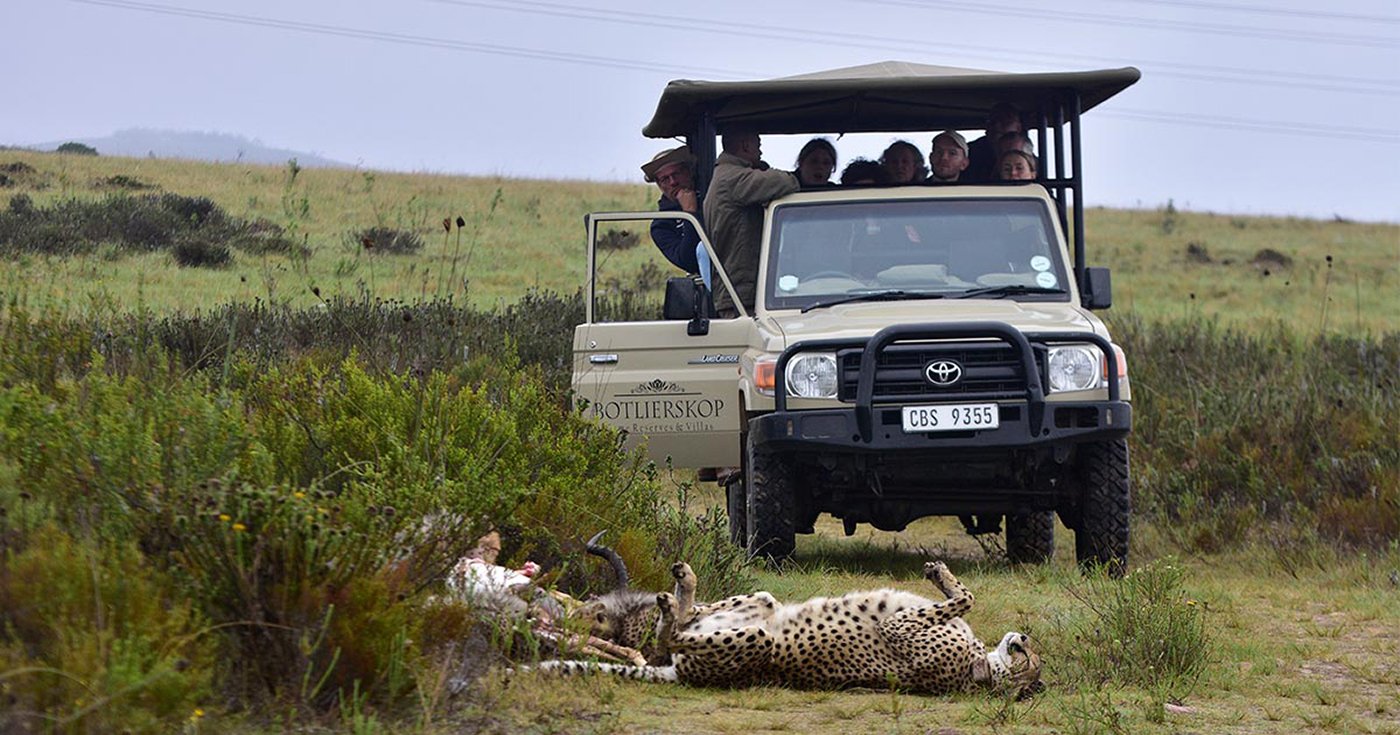 Cape Town to Garden Route: 2-Day Big Five Safari Adventure