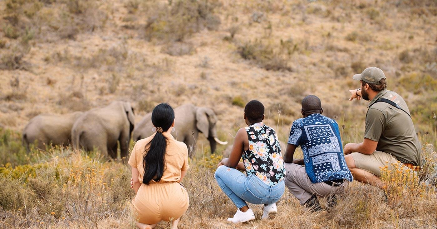 Cape Town to Garden Route: 2-Day Big Five Safari Adventure