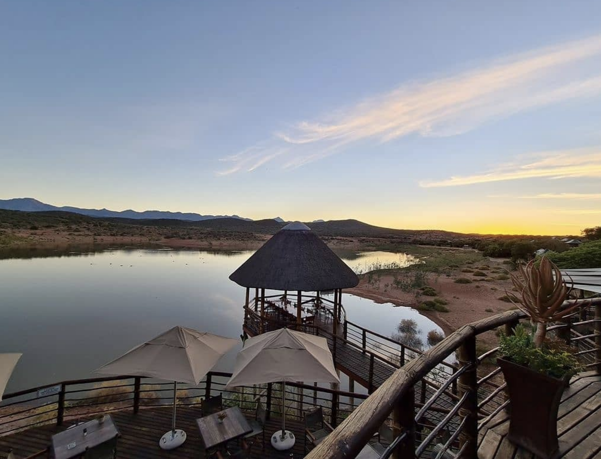 Cape Town to Garden Route: 2-Day Big Five Safari Adventure