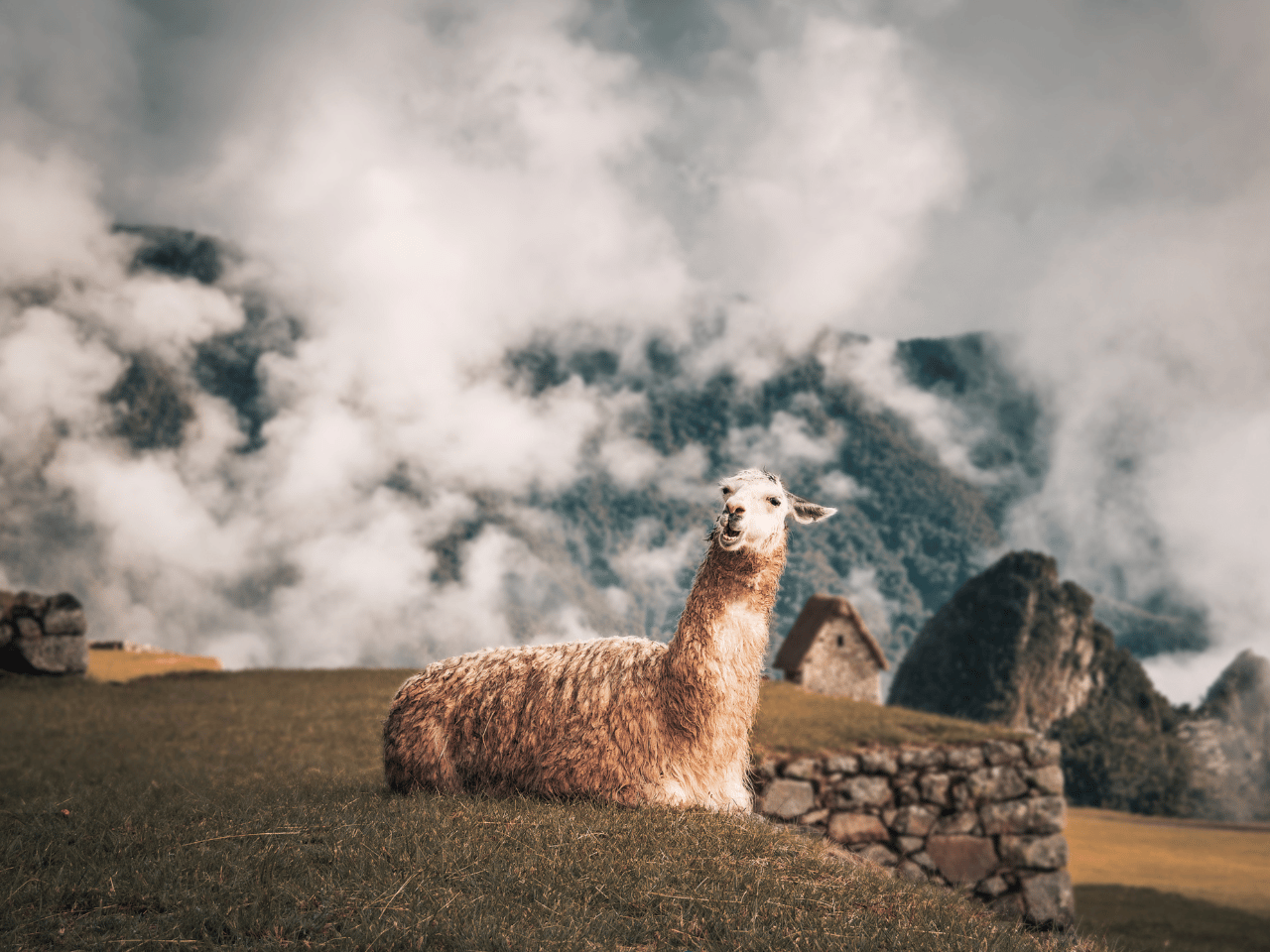Heiliges Tal & Machu Picchu: 2-Tage-Bahnreise