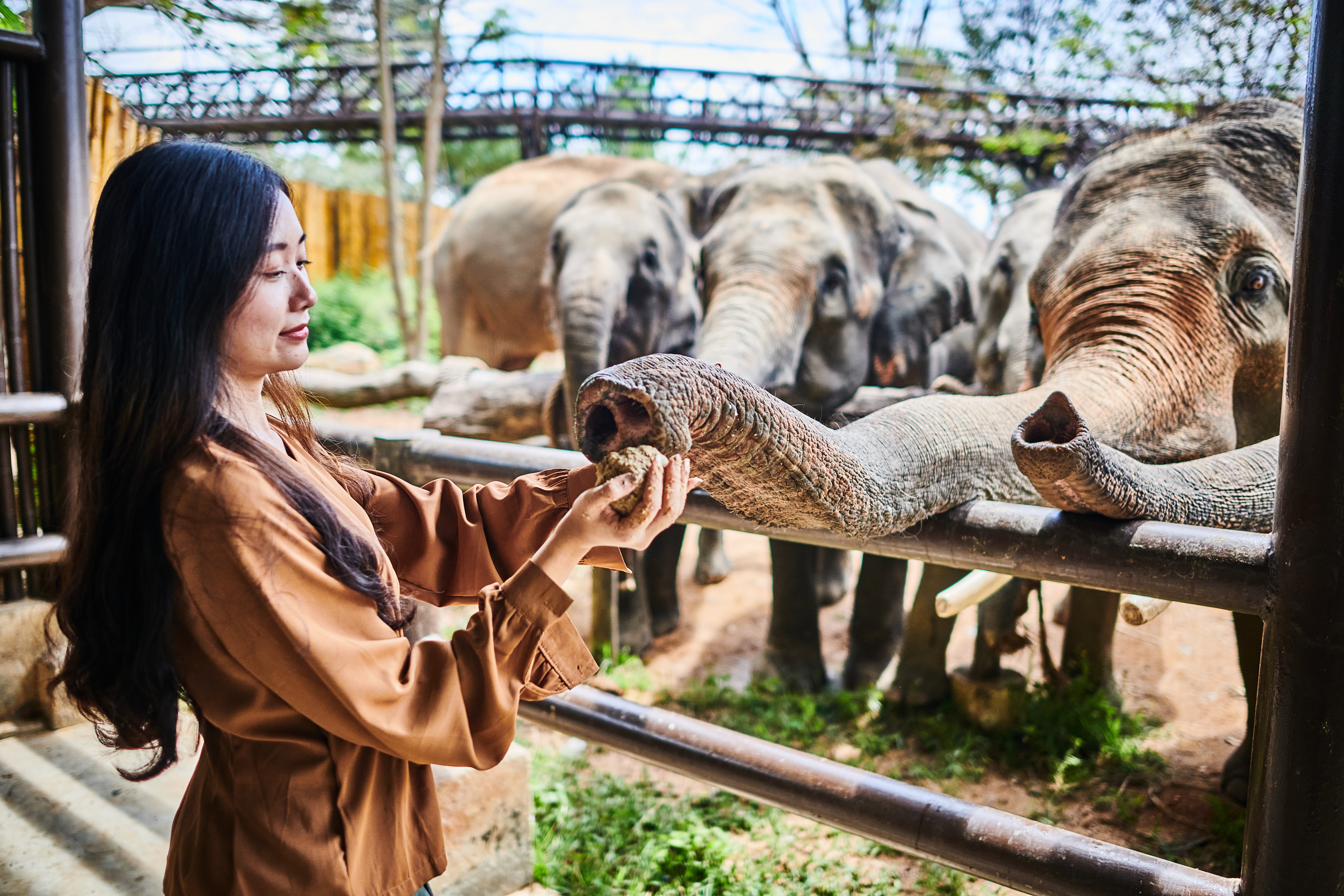 Koh Samui Ethical Elephant Sanctuary Half-Day Experience