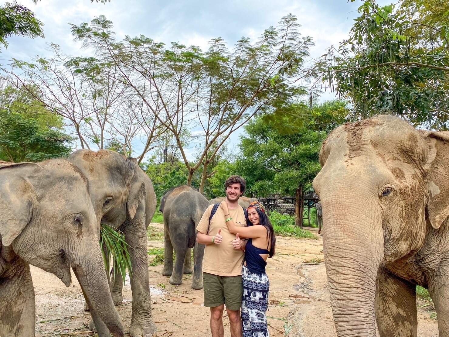 Koh Samui Ethical Elephant Sanctuary Half-Day Experience